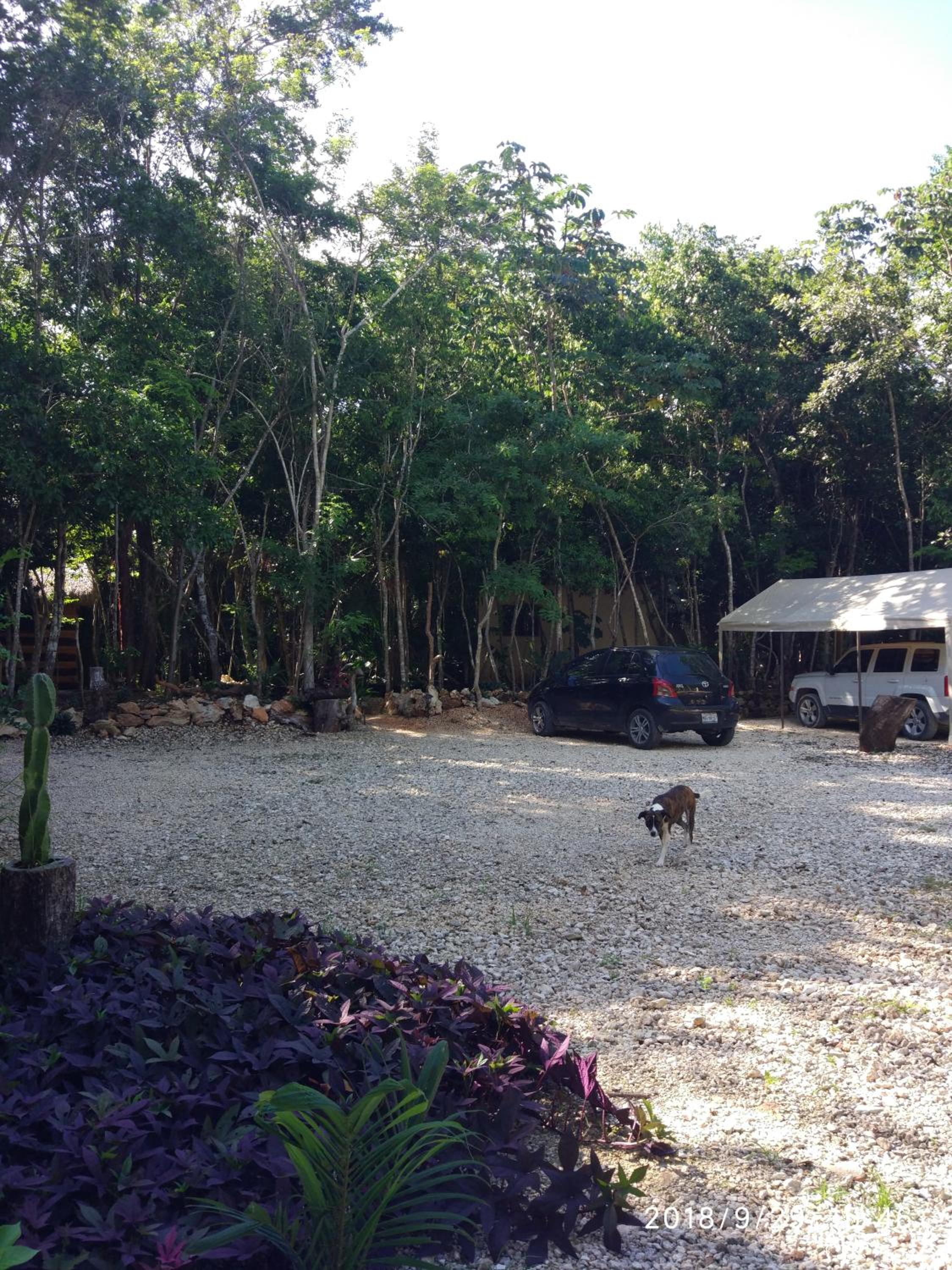 Photo 47