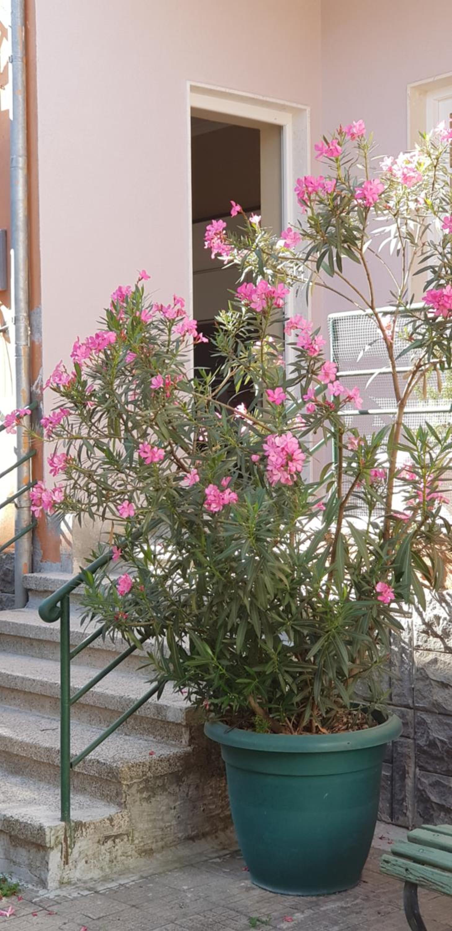 Bellesuite Tirana