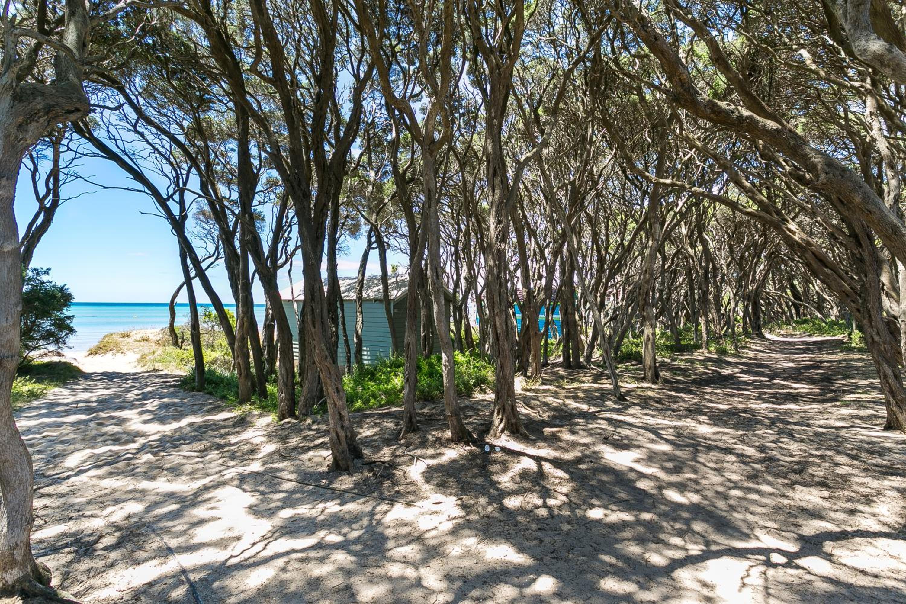 Blairgowrie Bella - light filled home with great deck