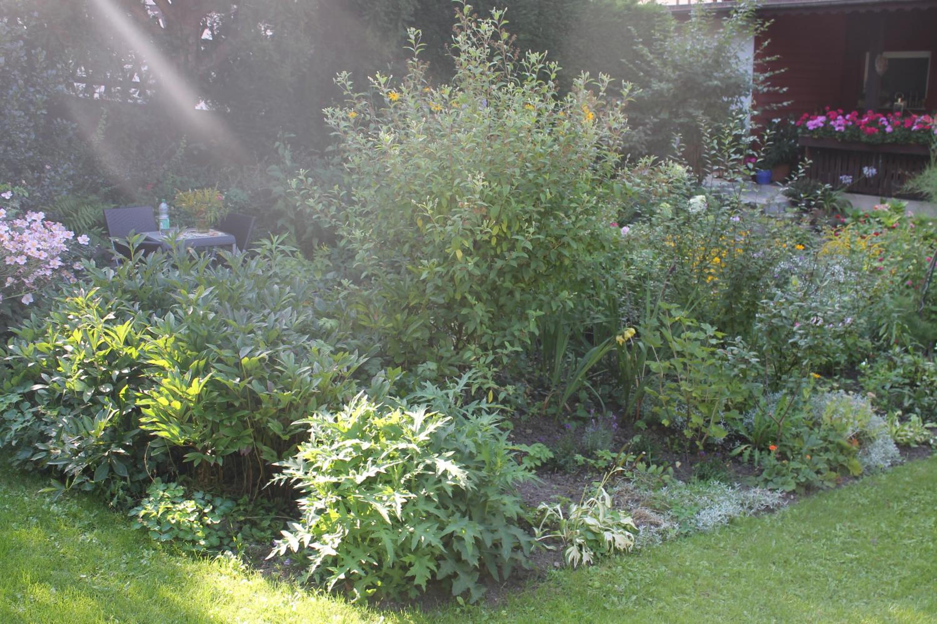 Photo 25