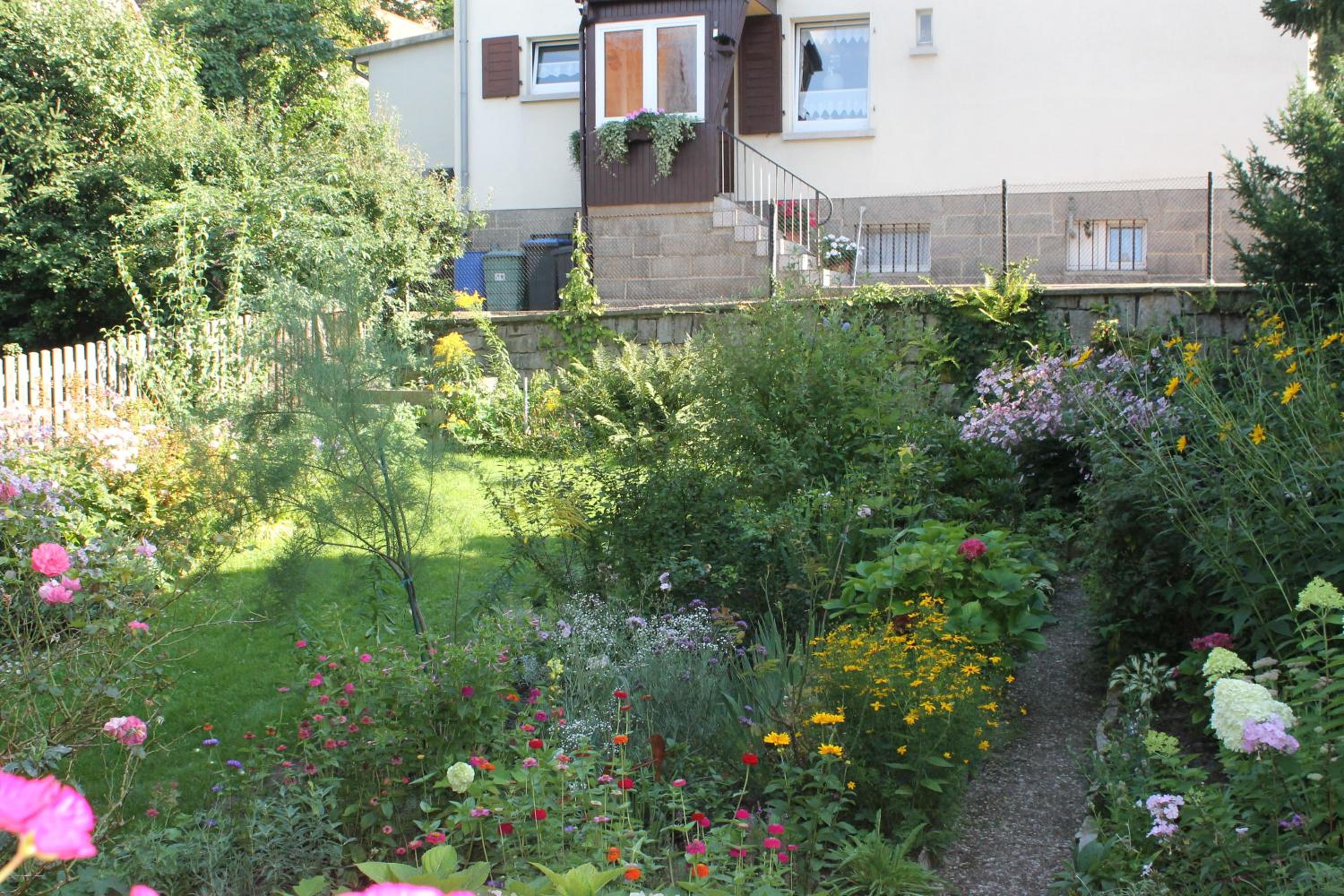 Photo 29