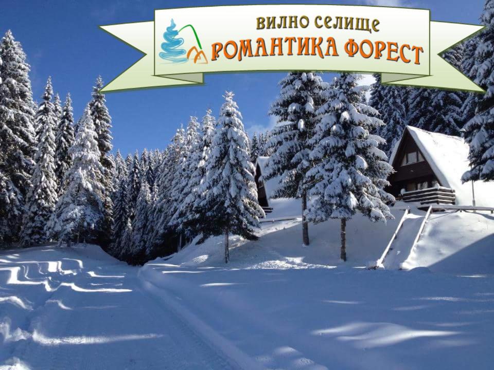 Romantica Forest Guest House