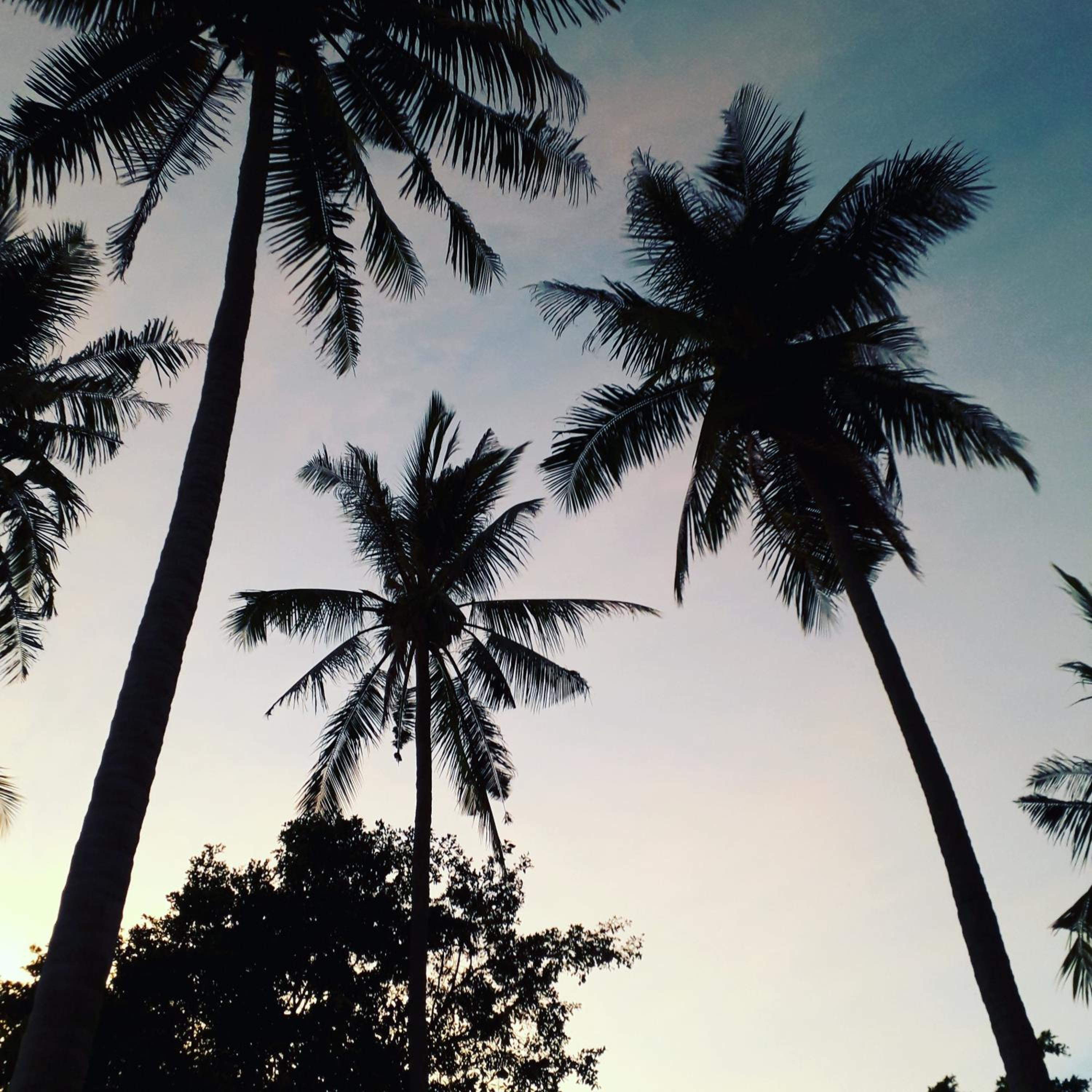 Coco Garden Resort