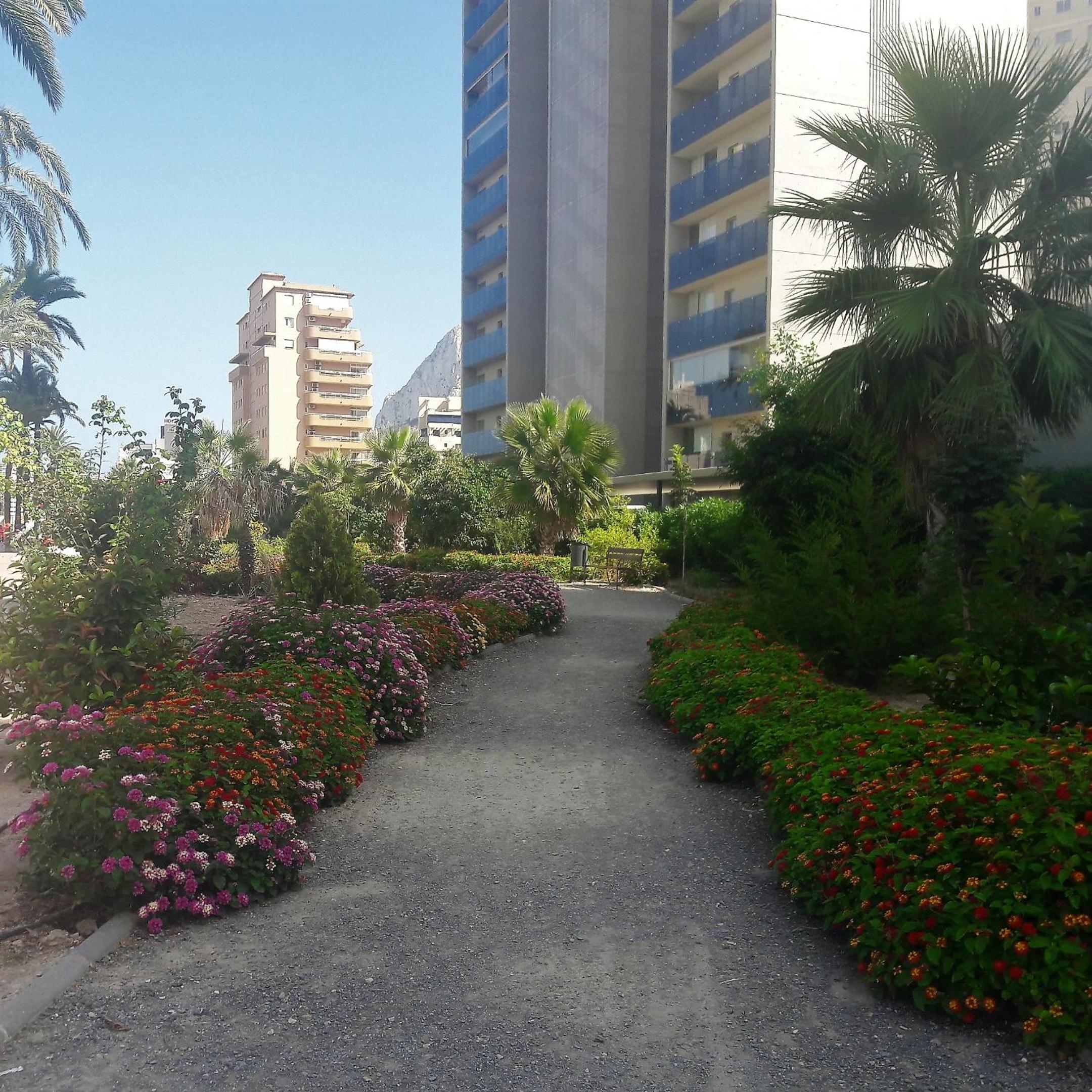 Mirador apart