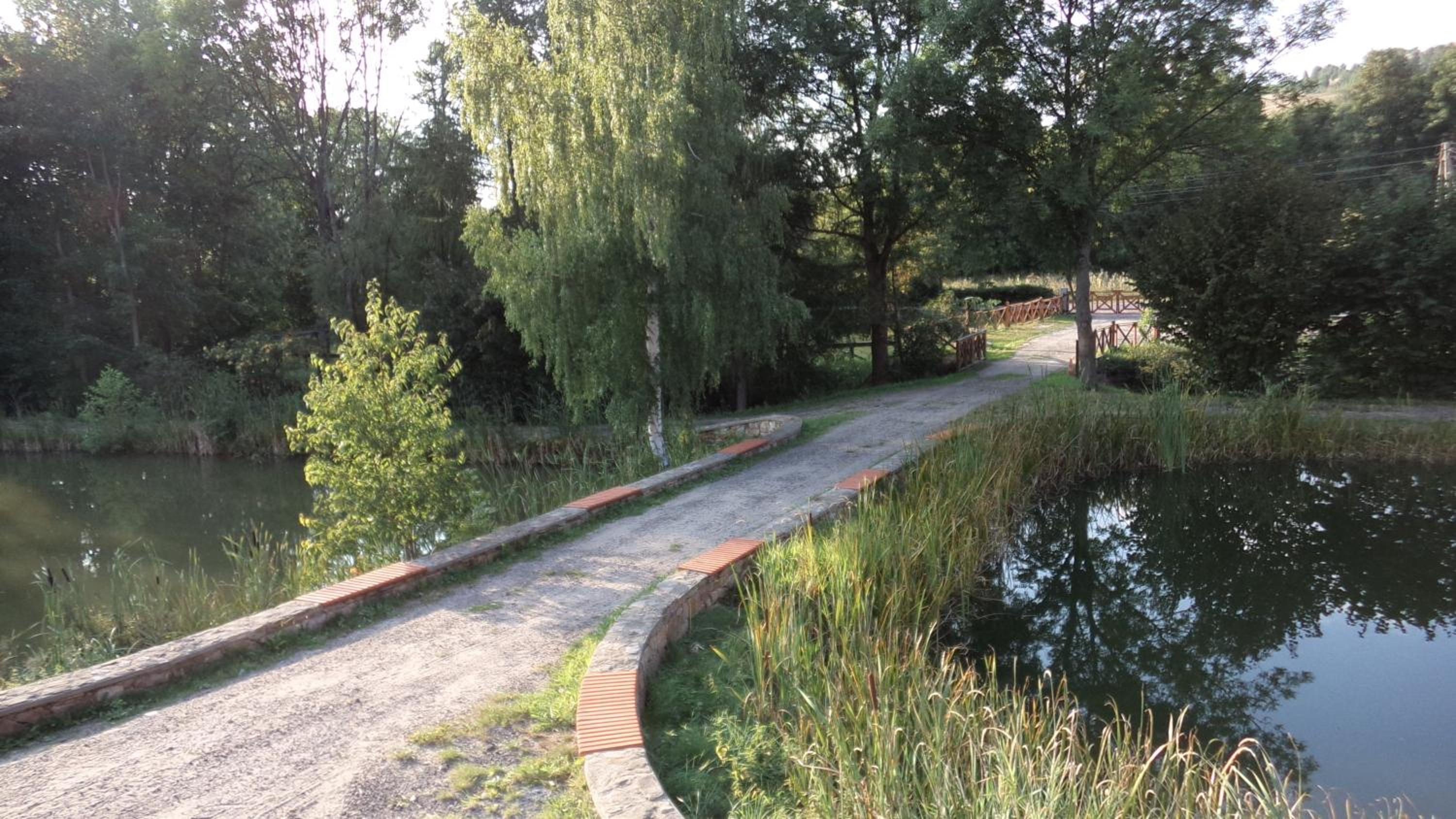 Photo 29