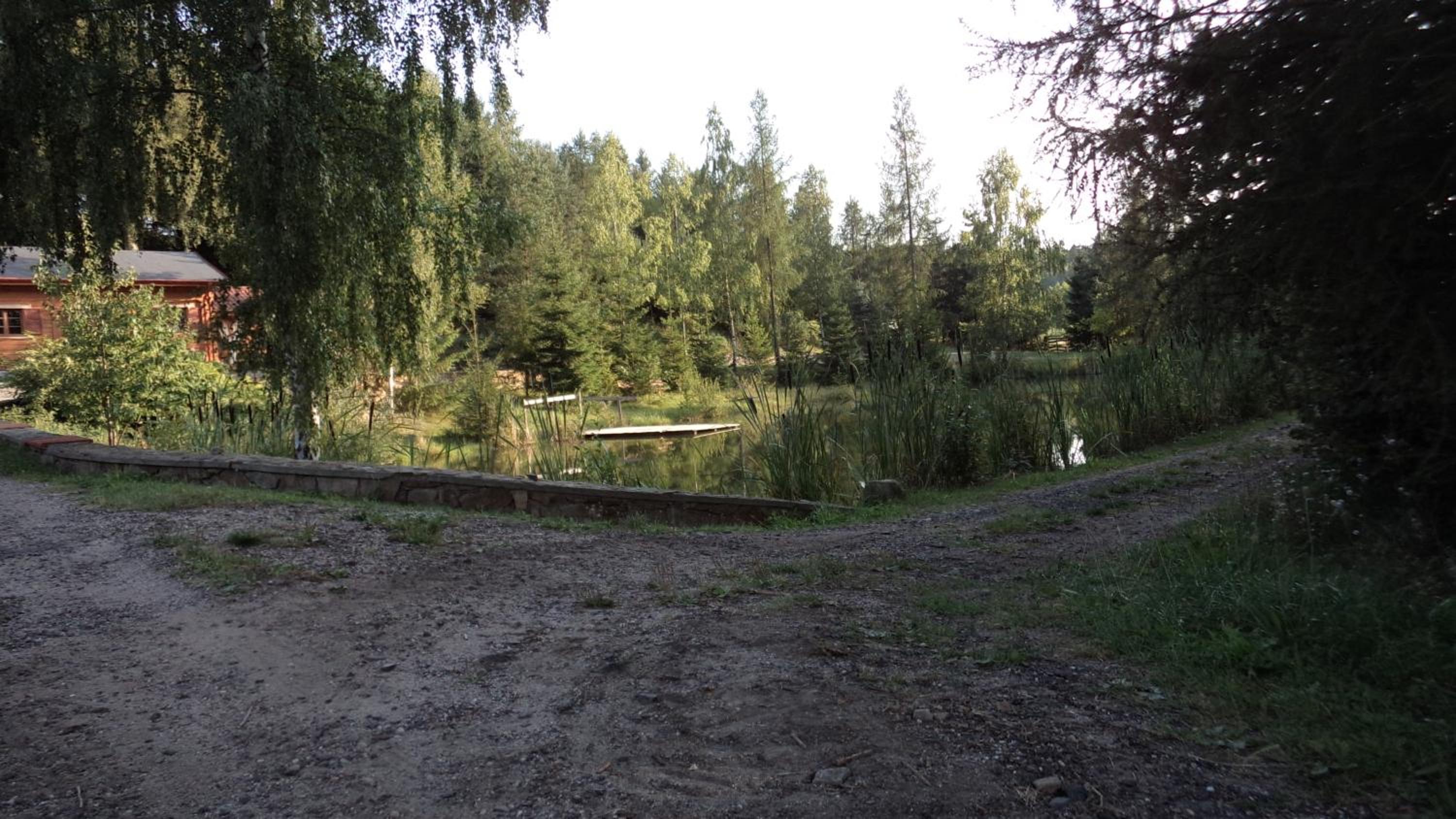 Photo 31