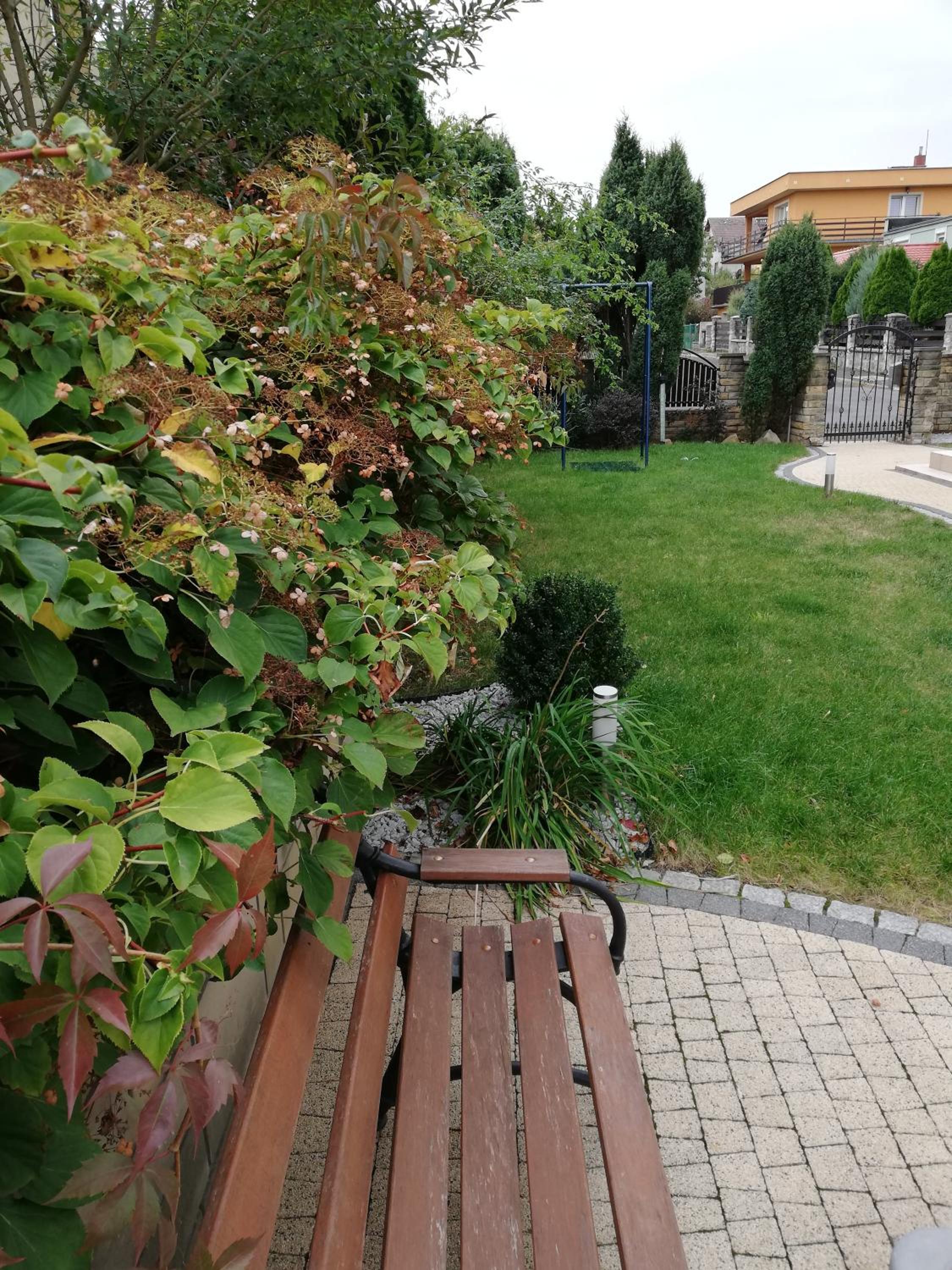 Photo 10
