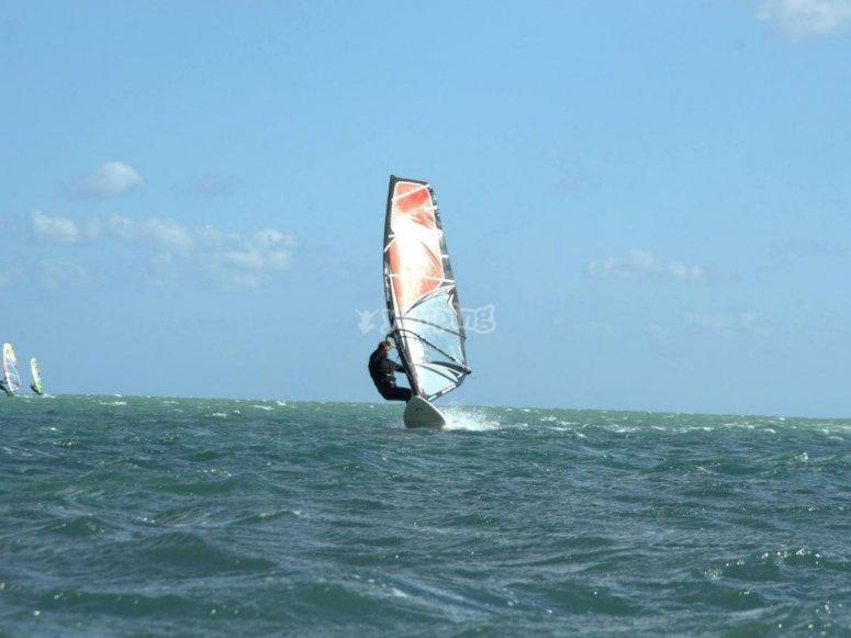 Photo 7