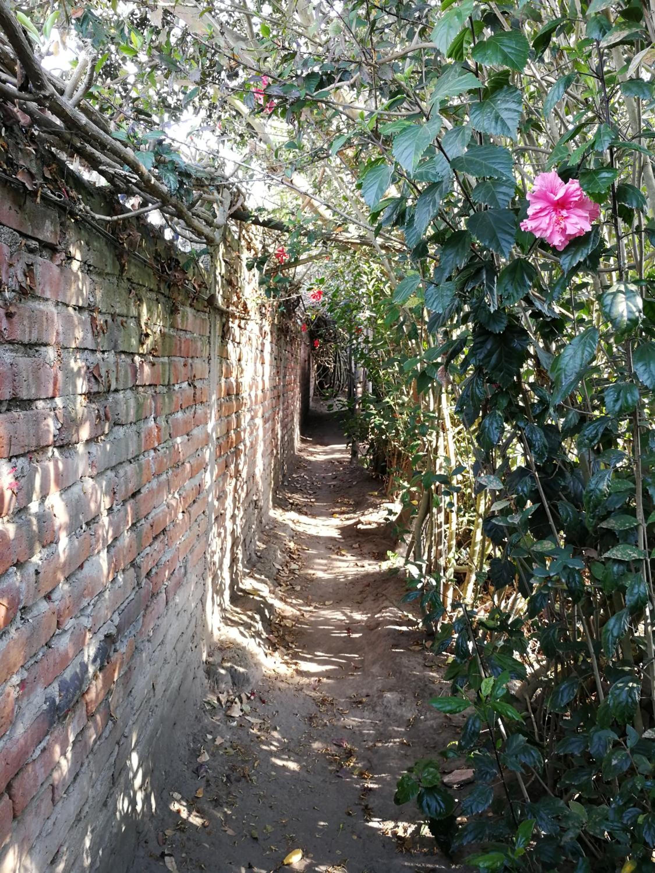 Photo 13