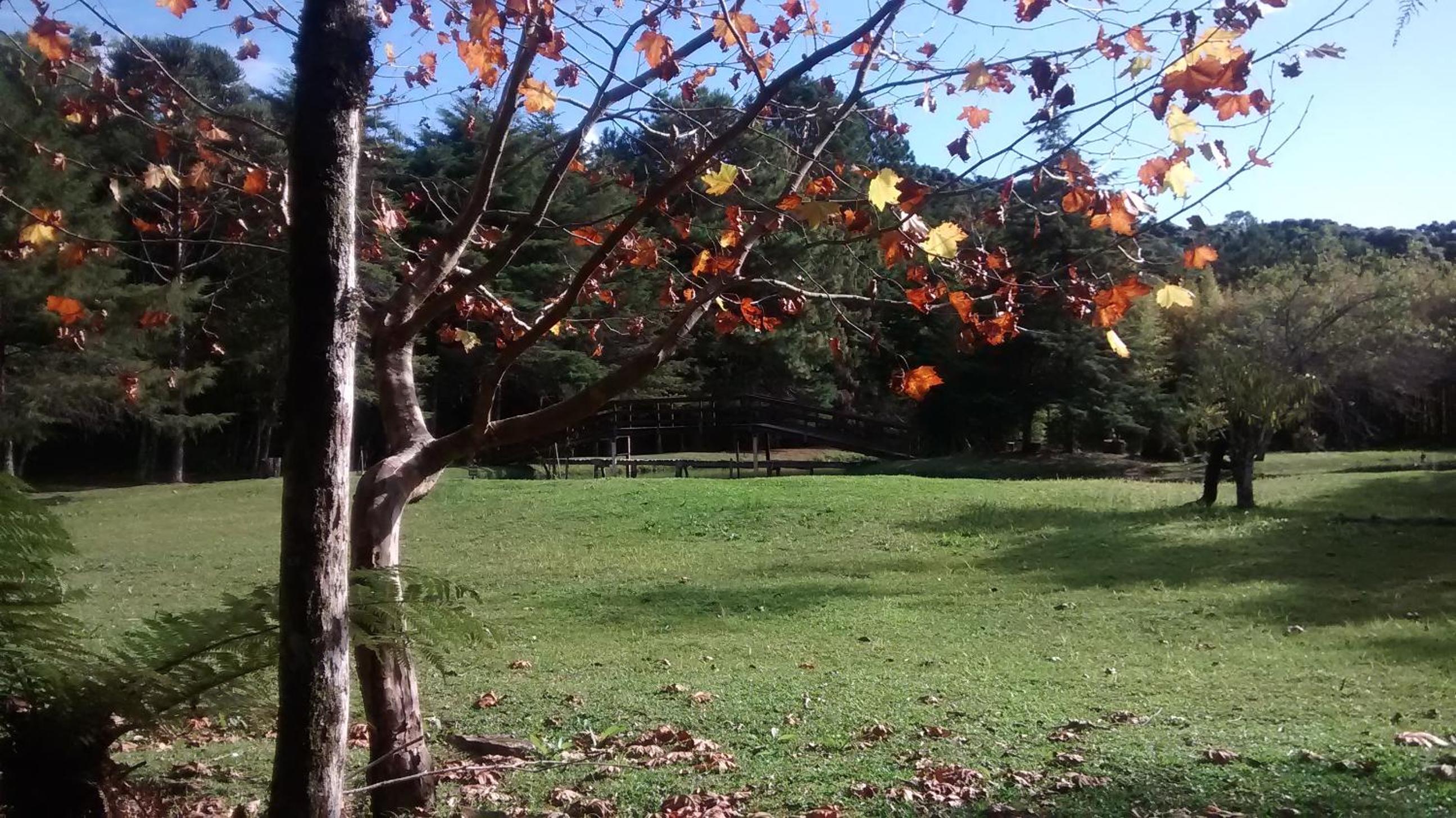 Recanto na Montanha de Gramado