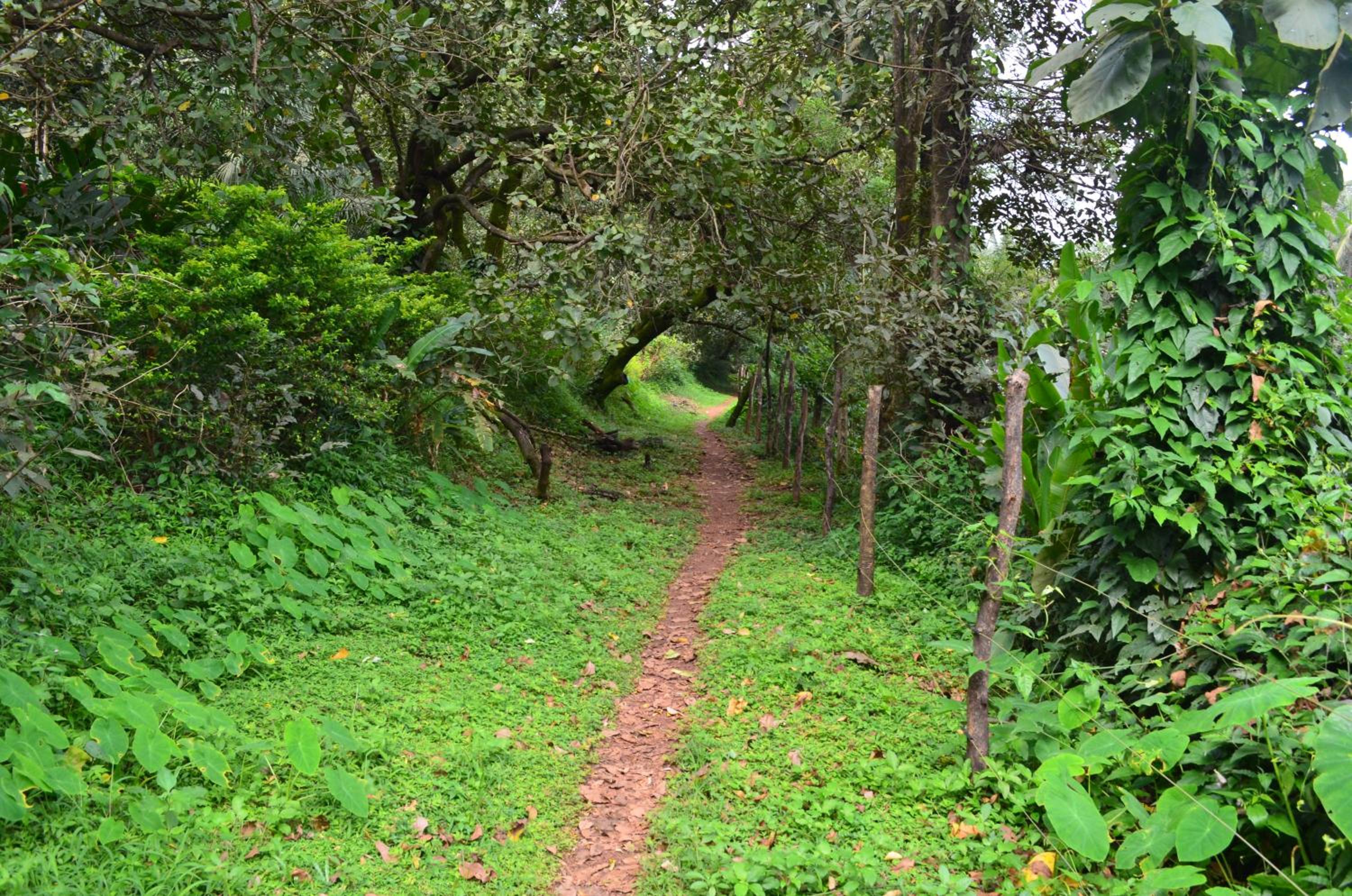 Mangaal Farmstay Goa