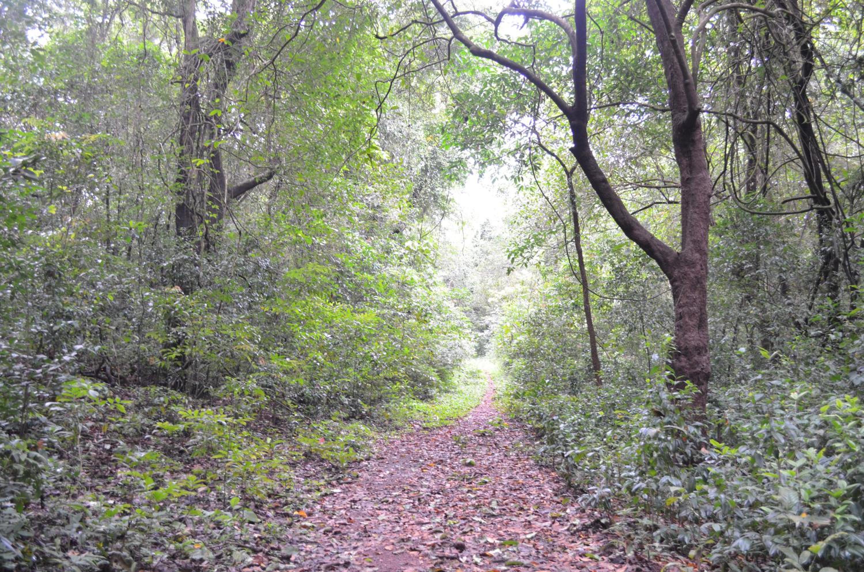 Mangaal Farmstay Goa