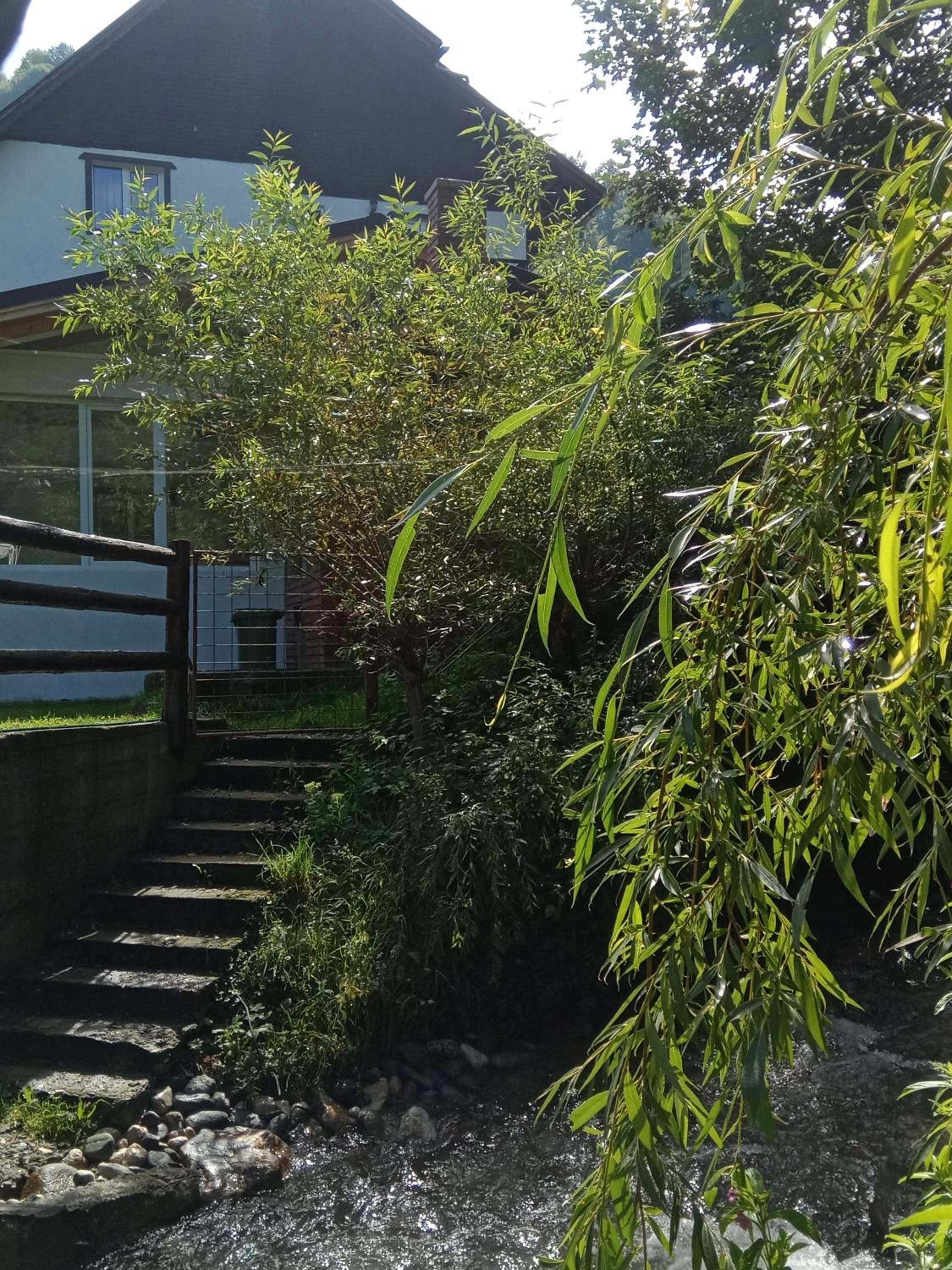 Photo 51