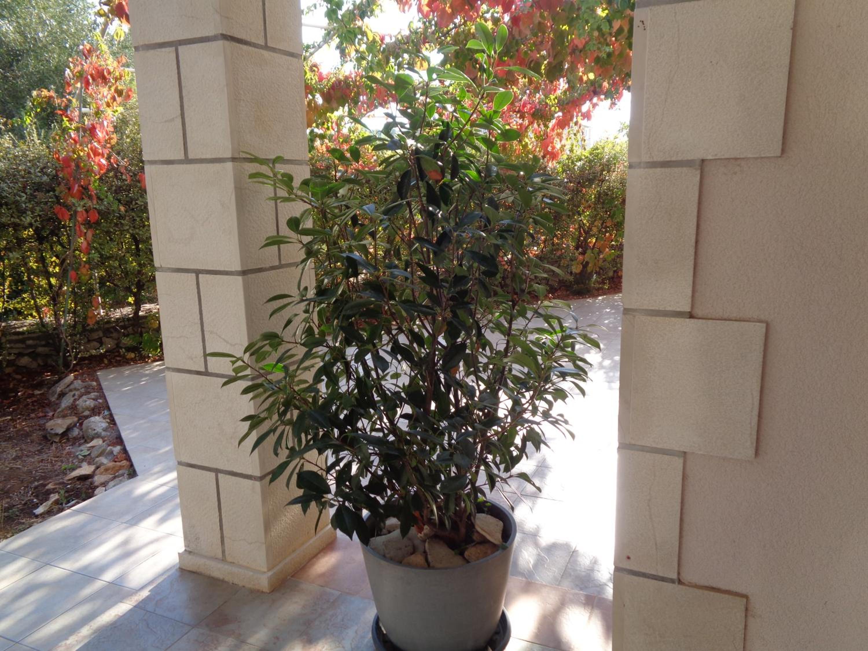 Photo 28