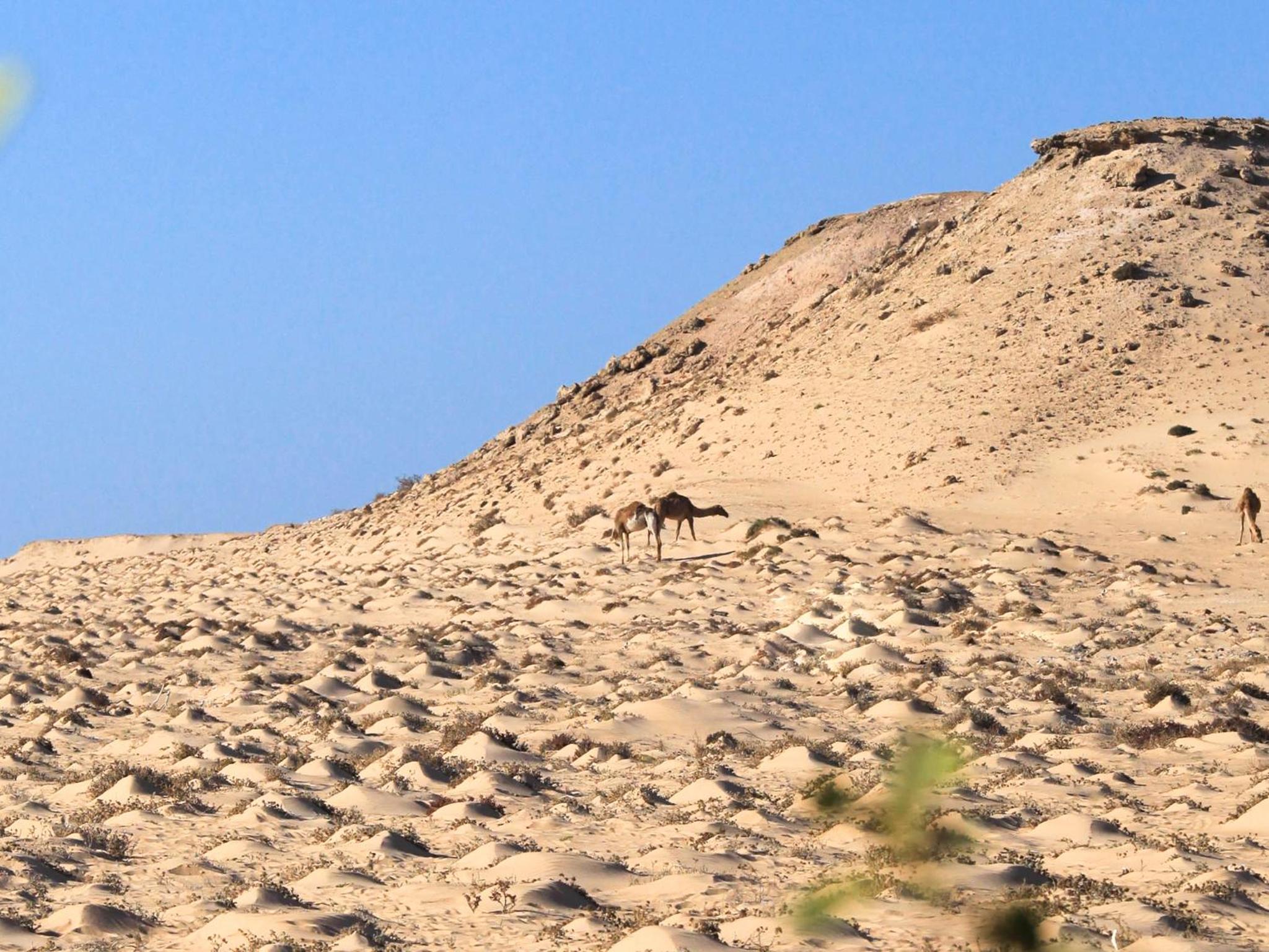 Dakhla Kitesurf World
