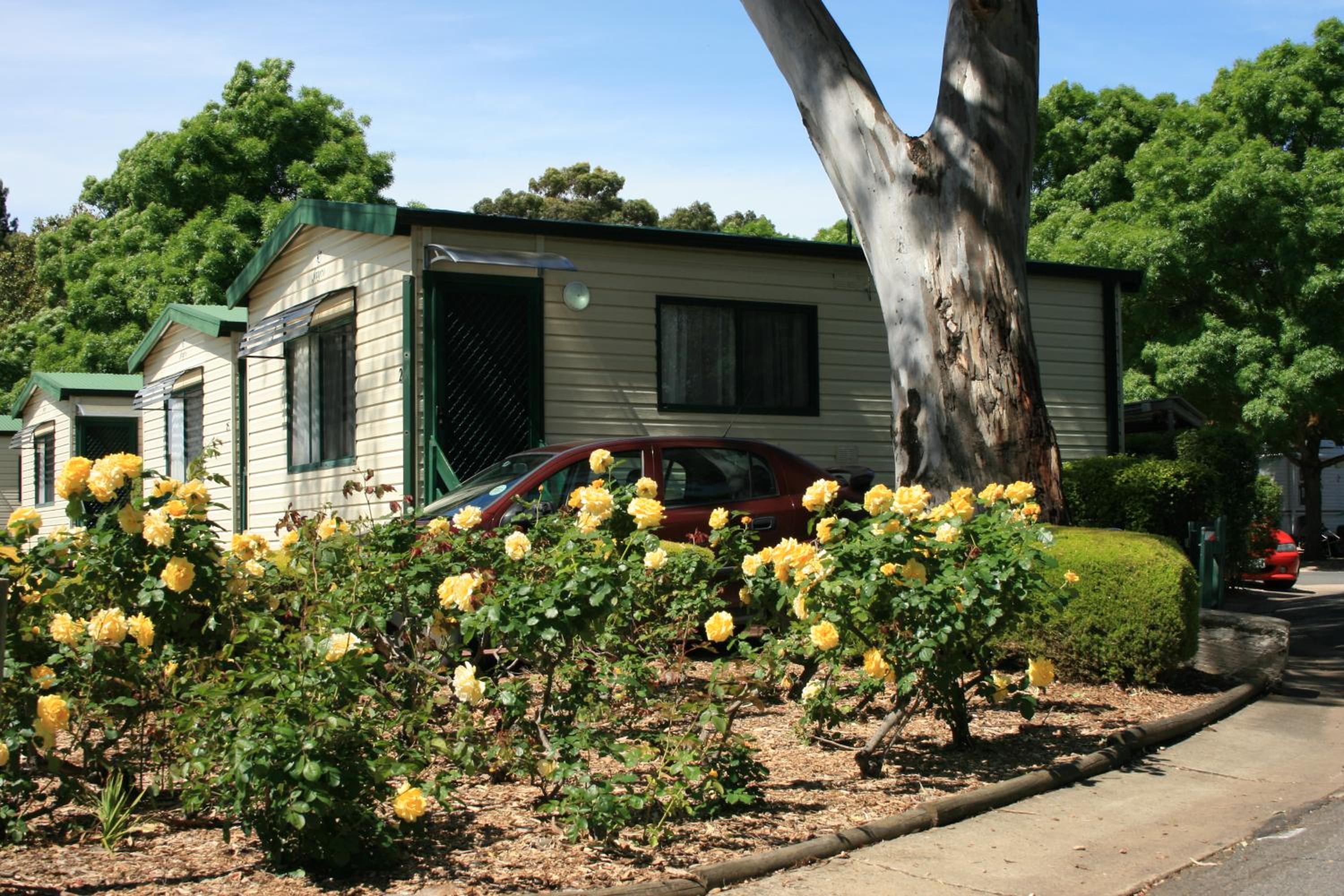 Levi Adelaide Holiday Park