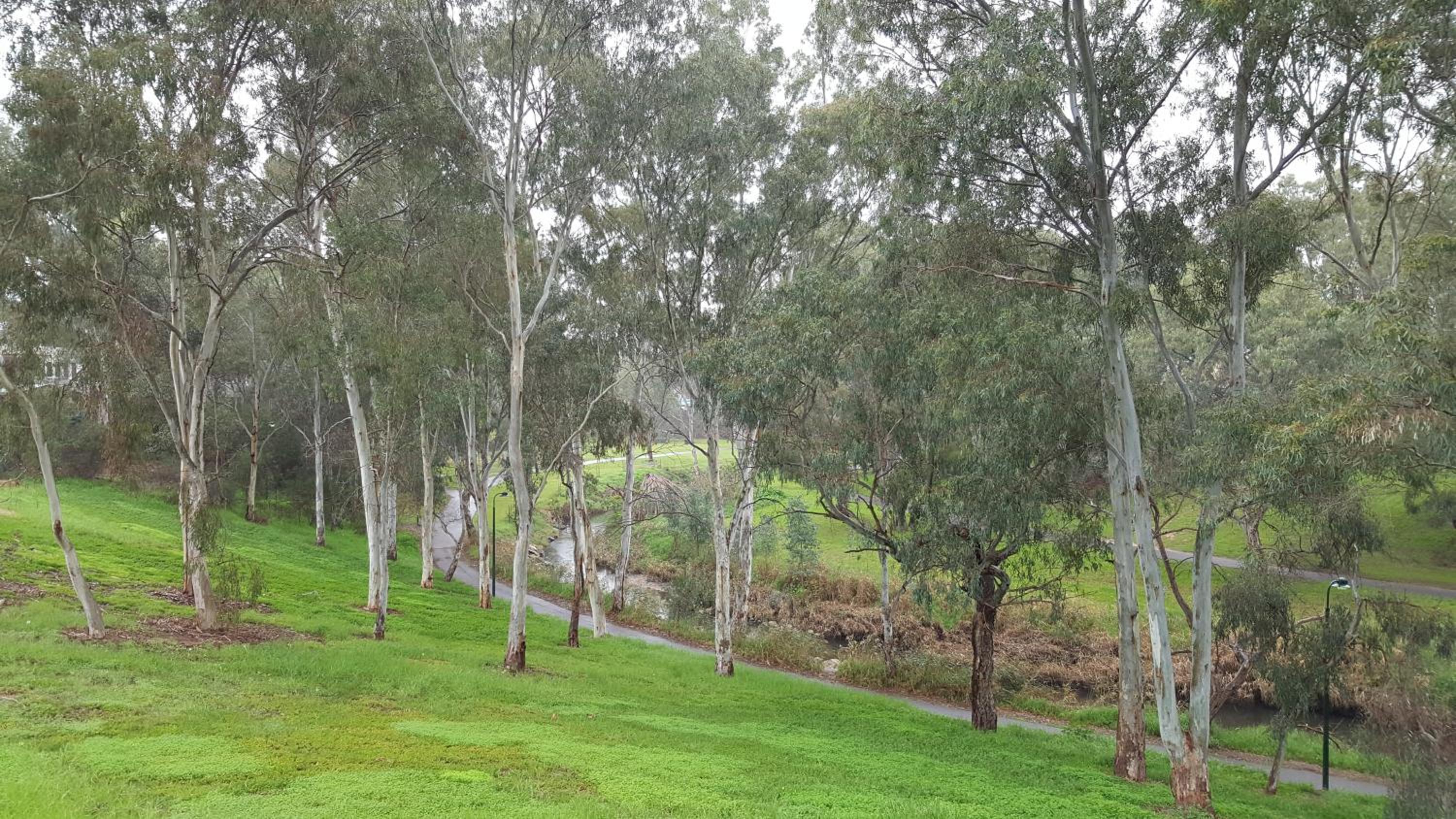 Levi Adelaide Holiday Park