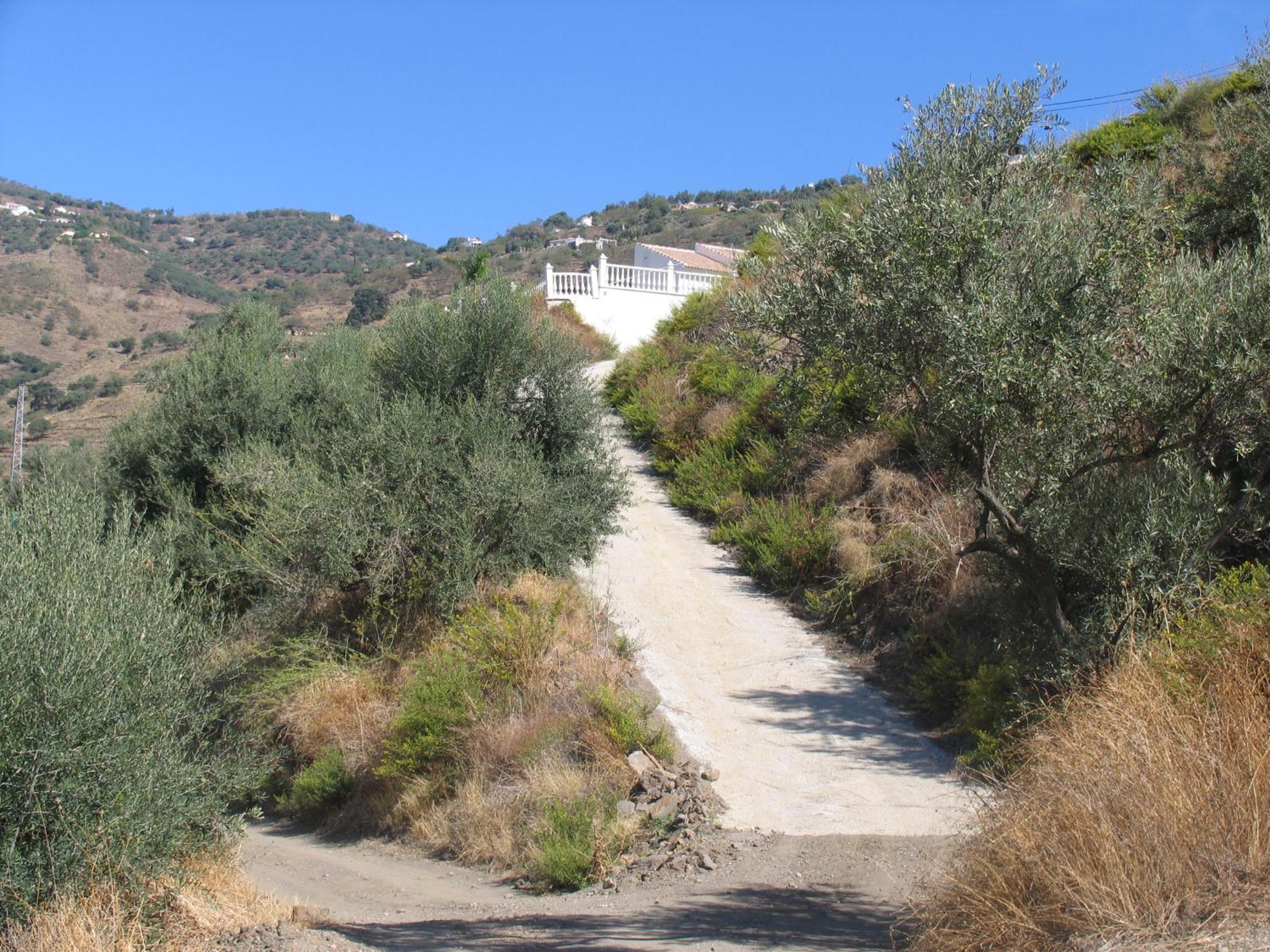 Photo 27