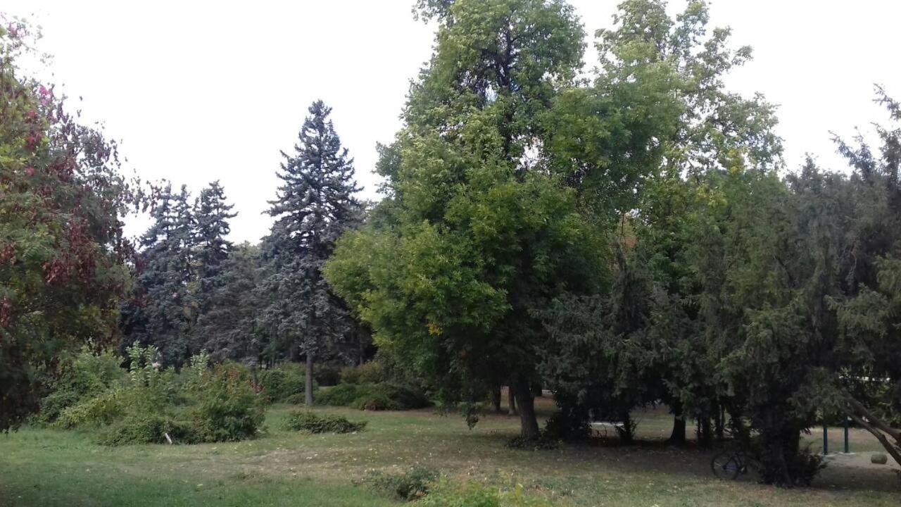Stan na dan DUNJA 1 view 2