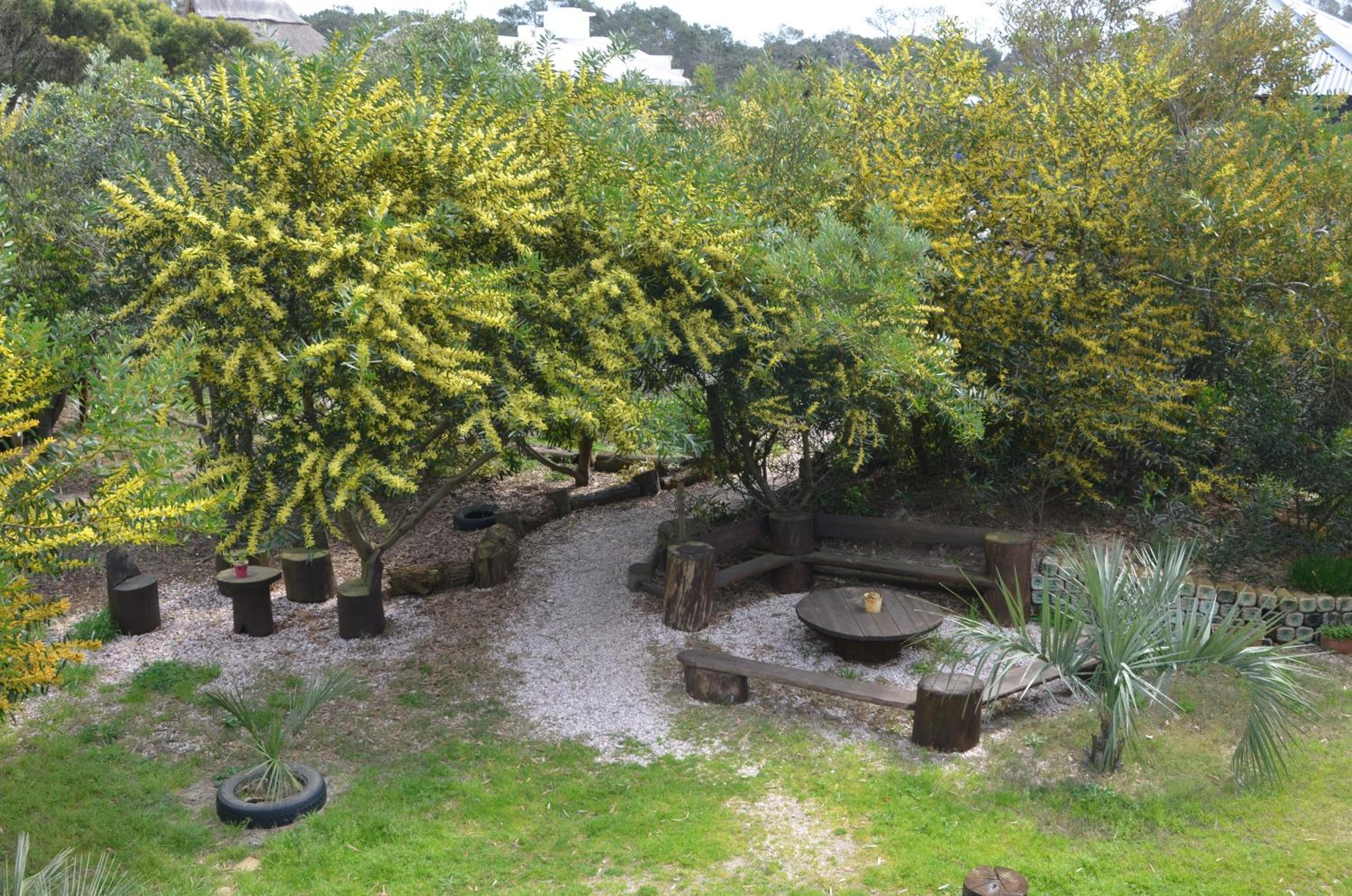 Photo 27