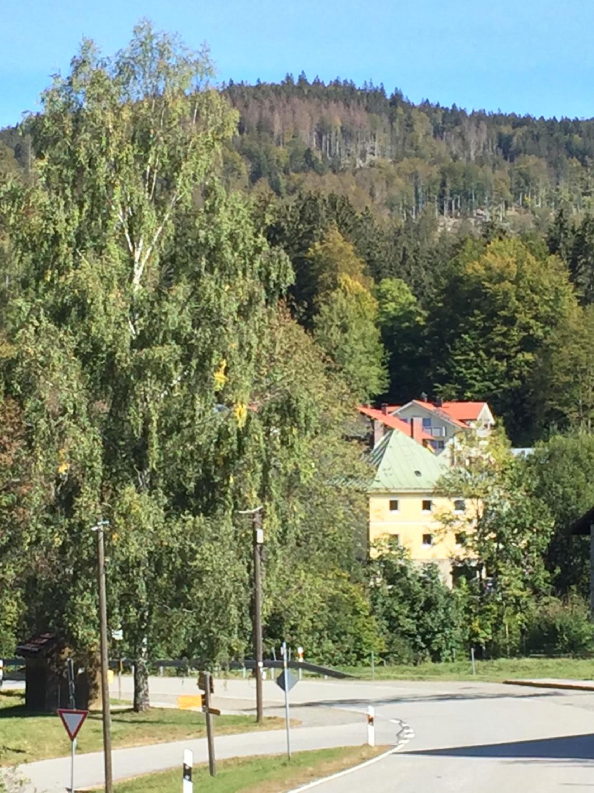 Photo 15