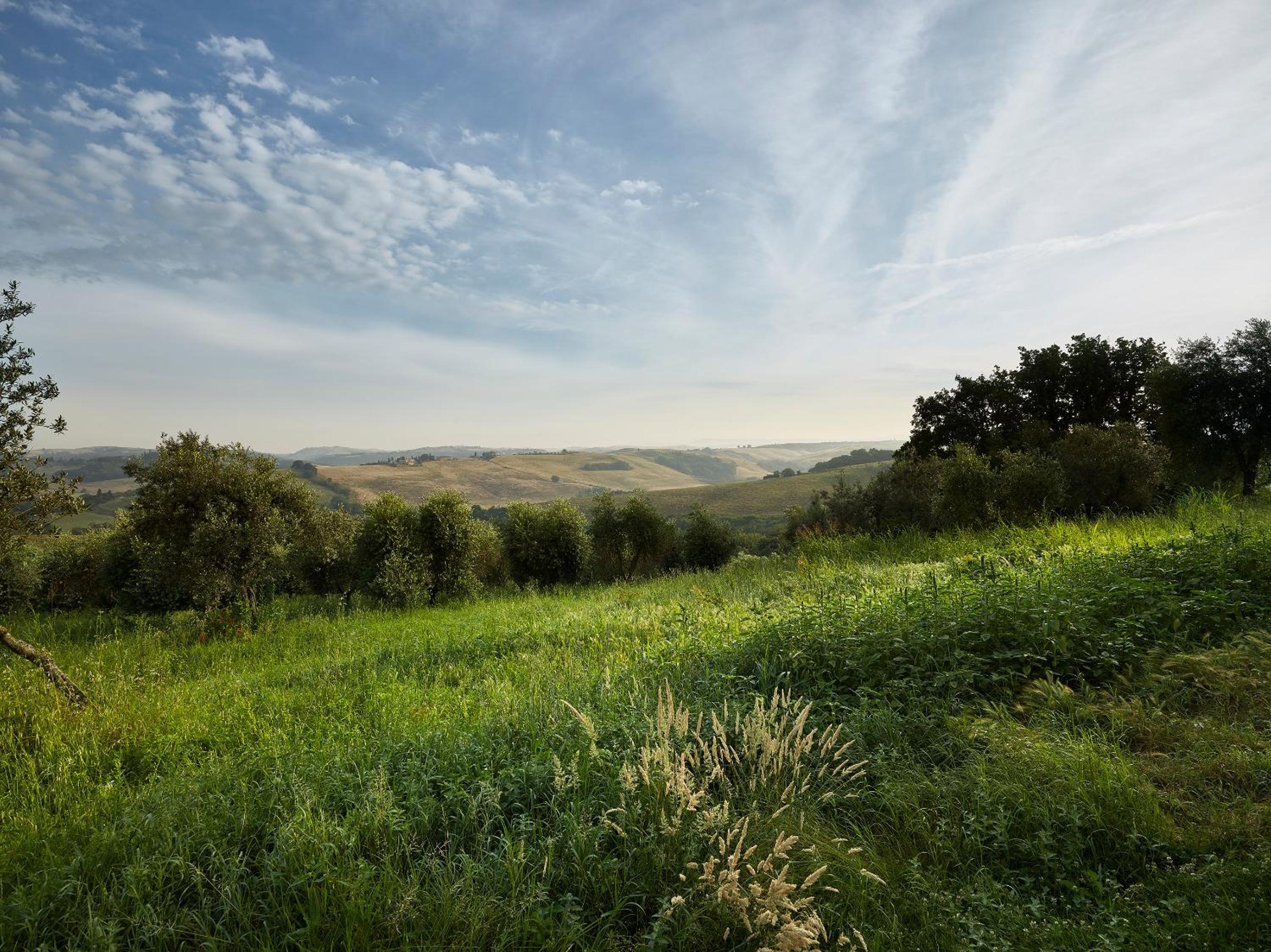 Borgo Lucignanello Bandini
