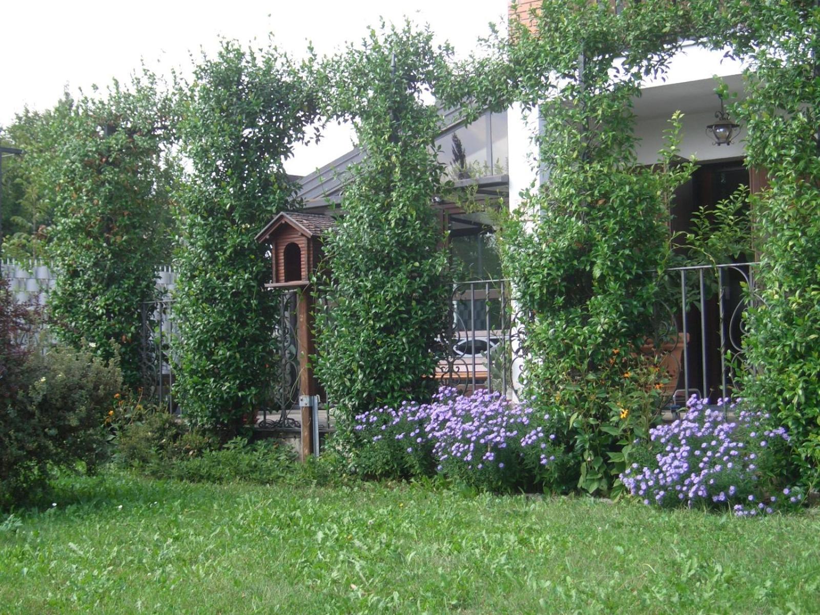 B&B SCACCIA PENSIERI view 4