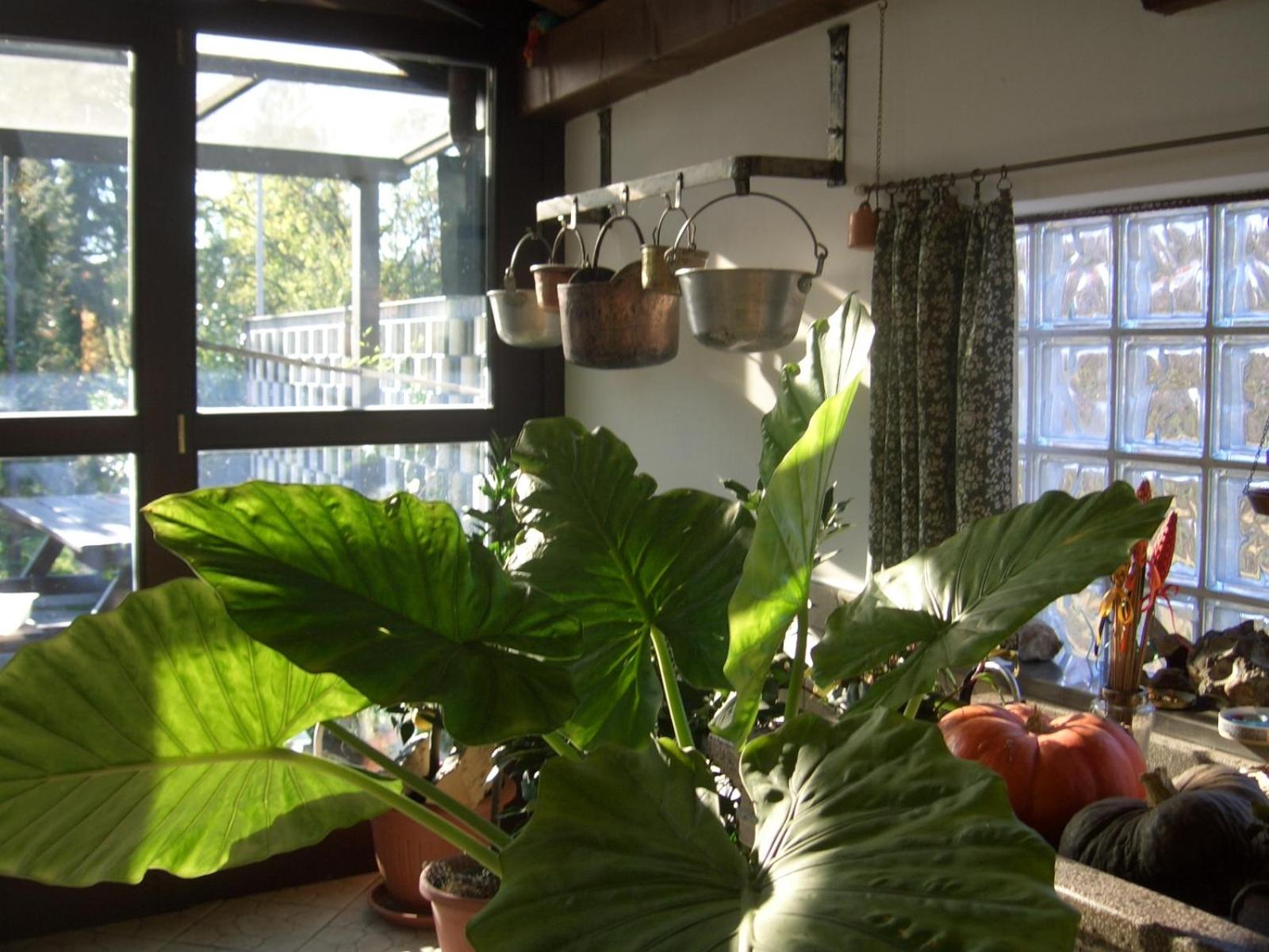 B&B SCACCIA PENSIERI view 5