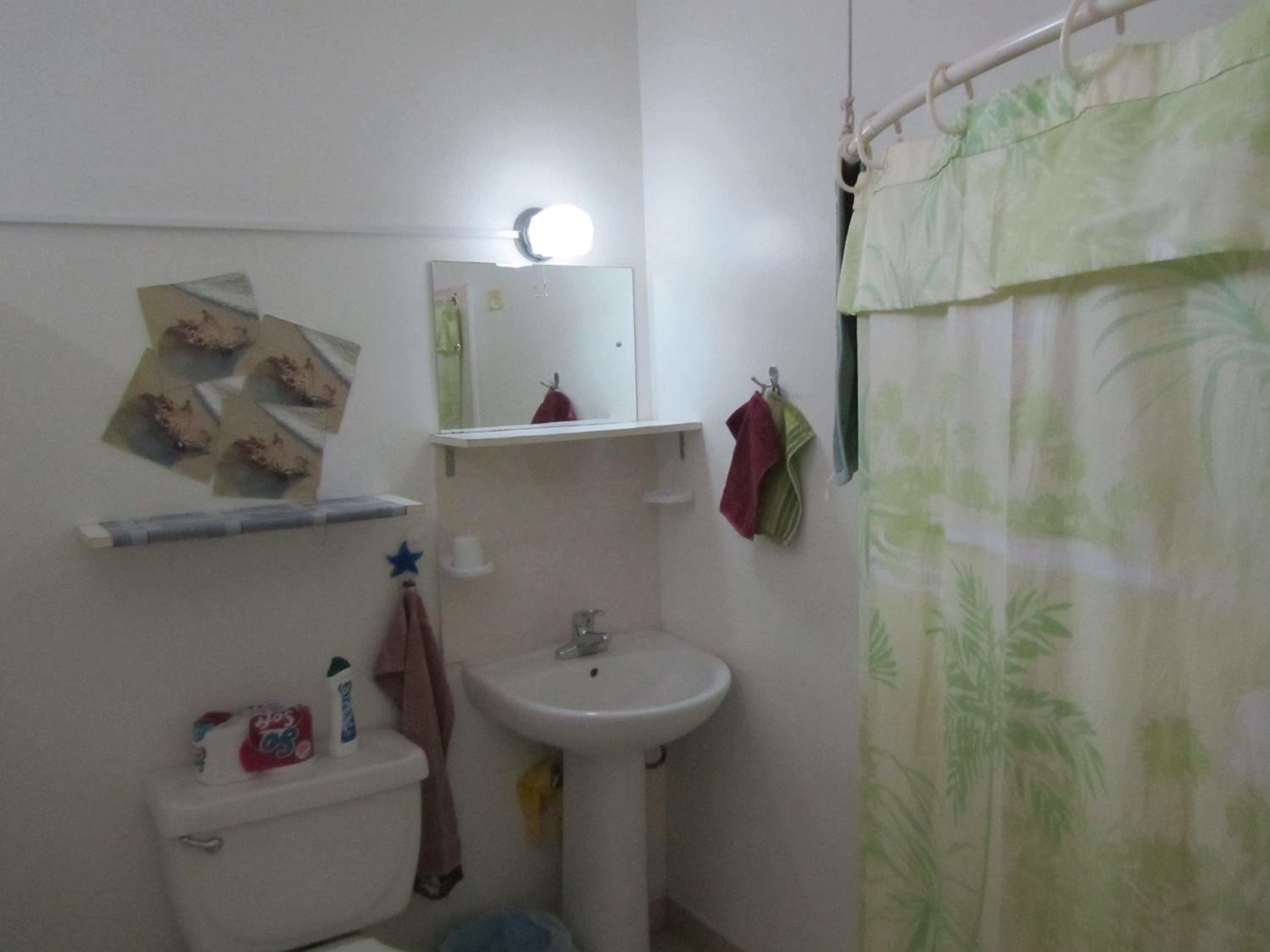 Dolphin Inn Guesthouse & Apartments