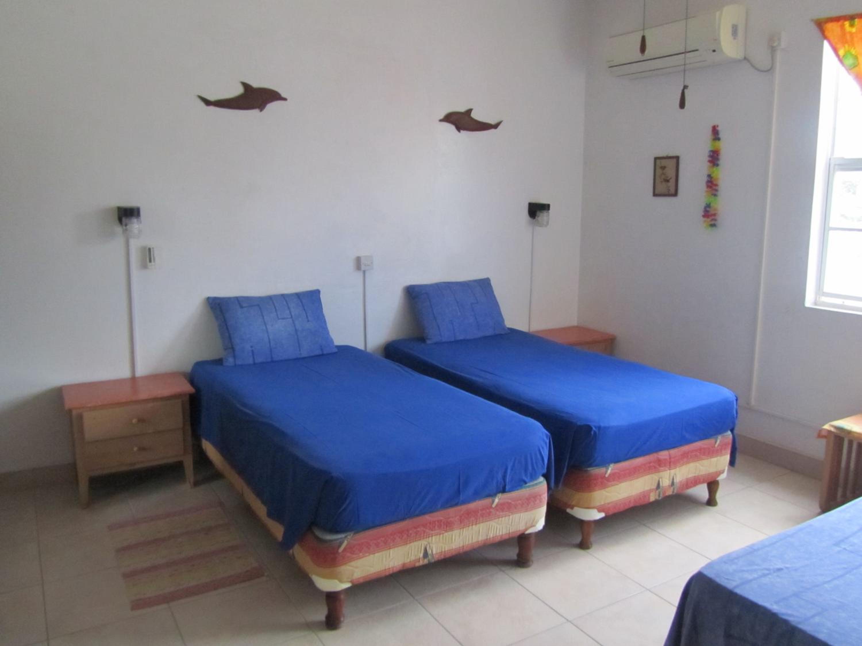 Dolphin Inn Guesthouse & Apartments
