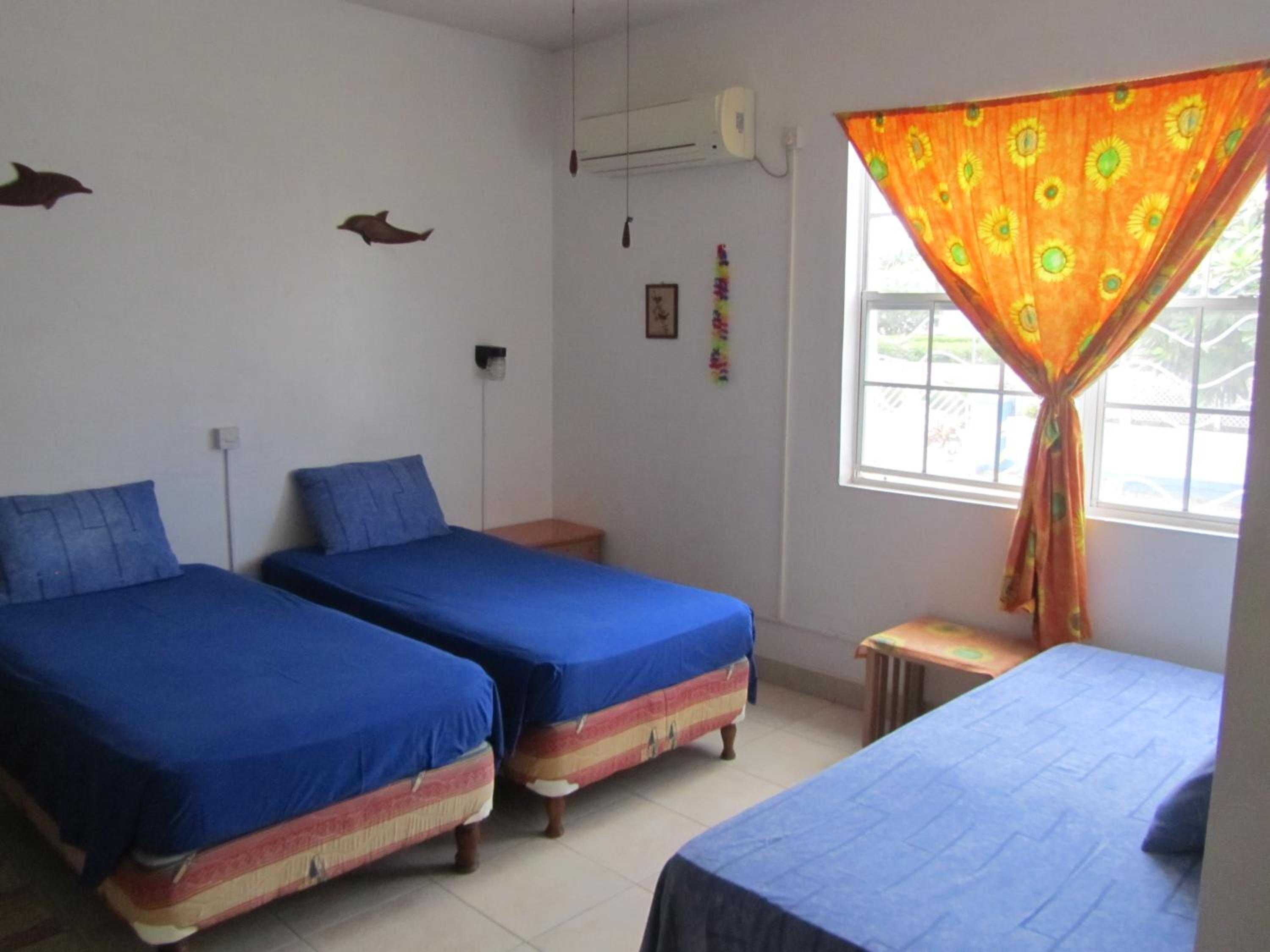 Dolphin Inn Guesthouse & Apartments