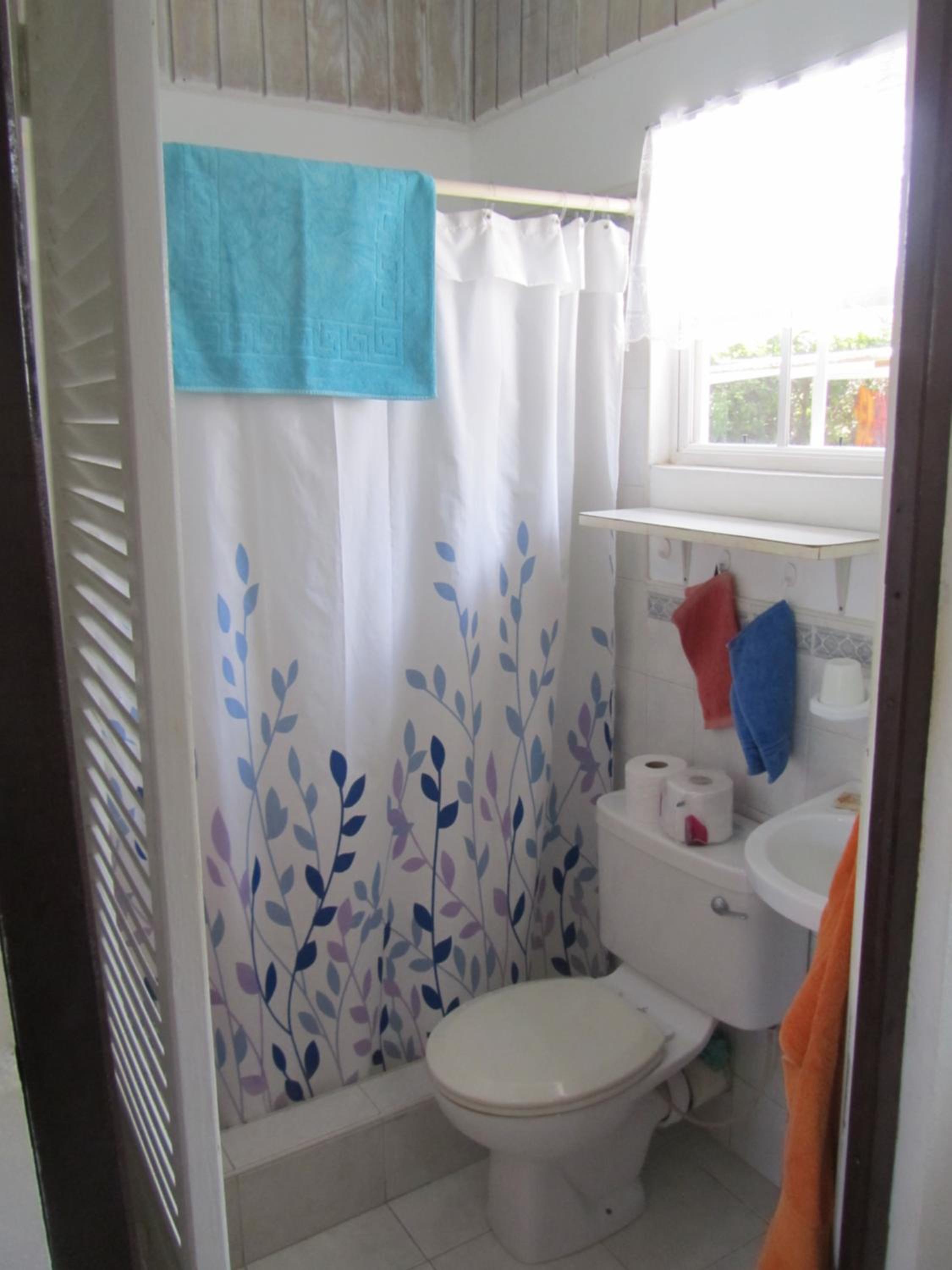 Dolphin Inn Guesthouse & Apartments