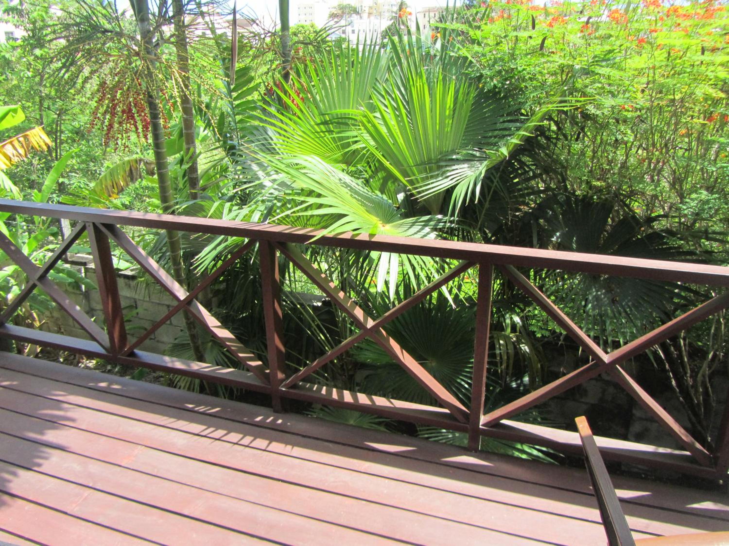 Dolphin Inn Guesthouse & Apartments