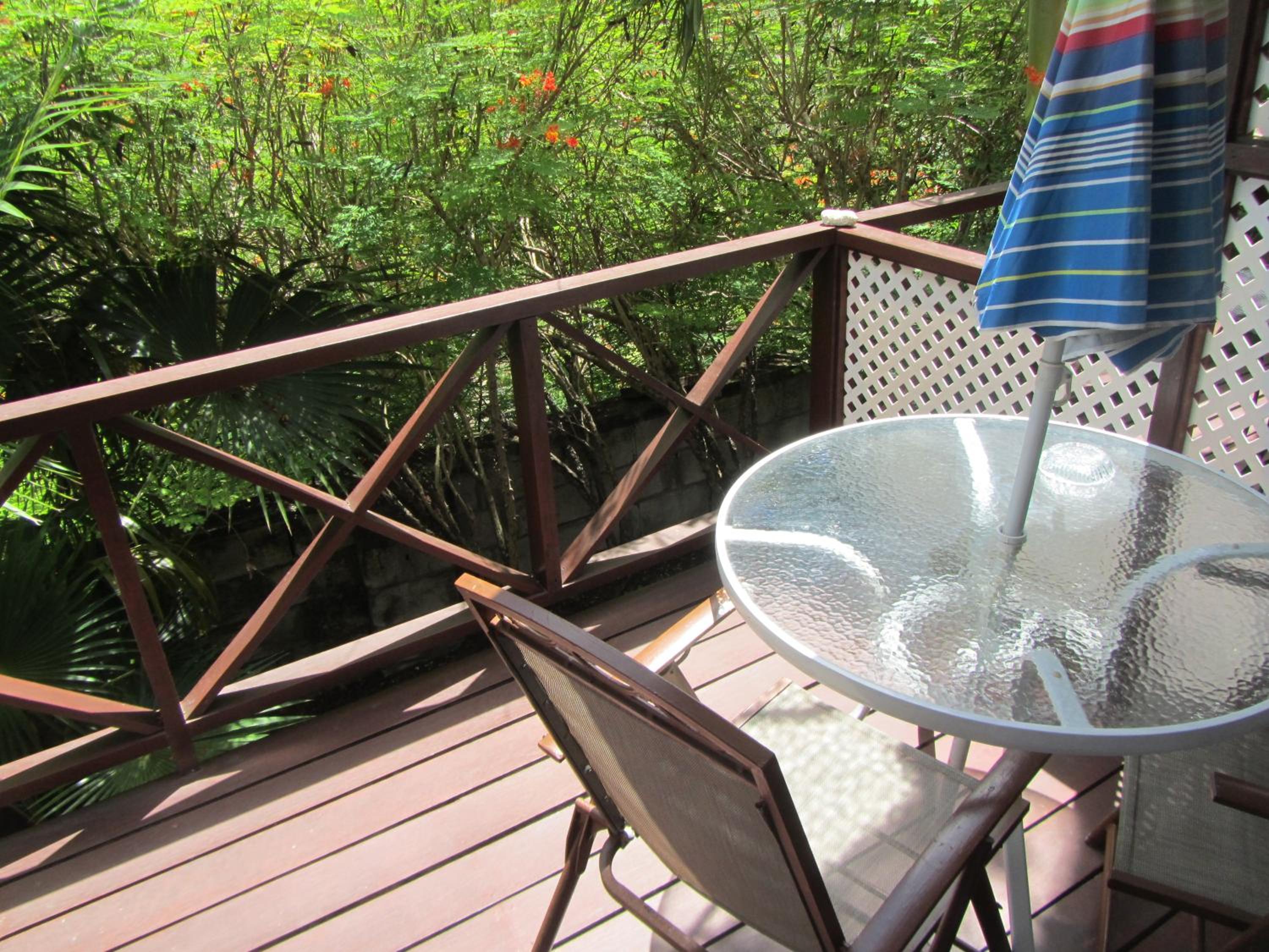 Dolphin Inn Guesthouse & Apartments