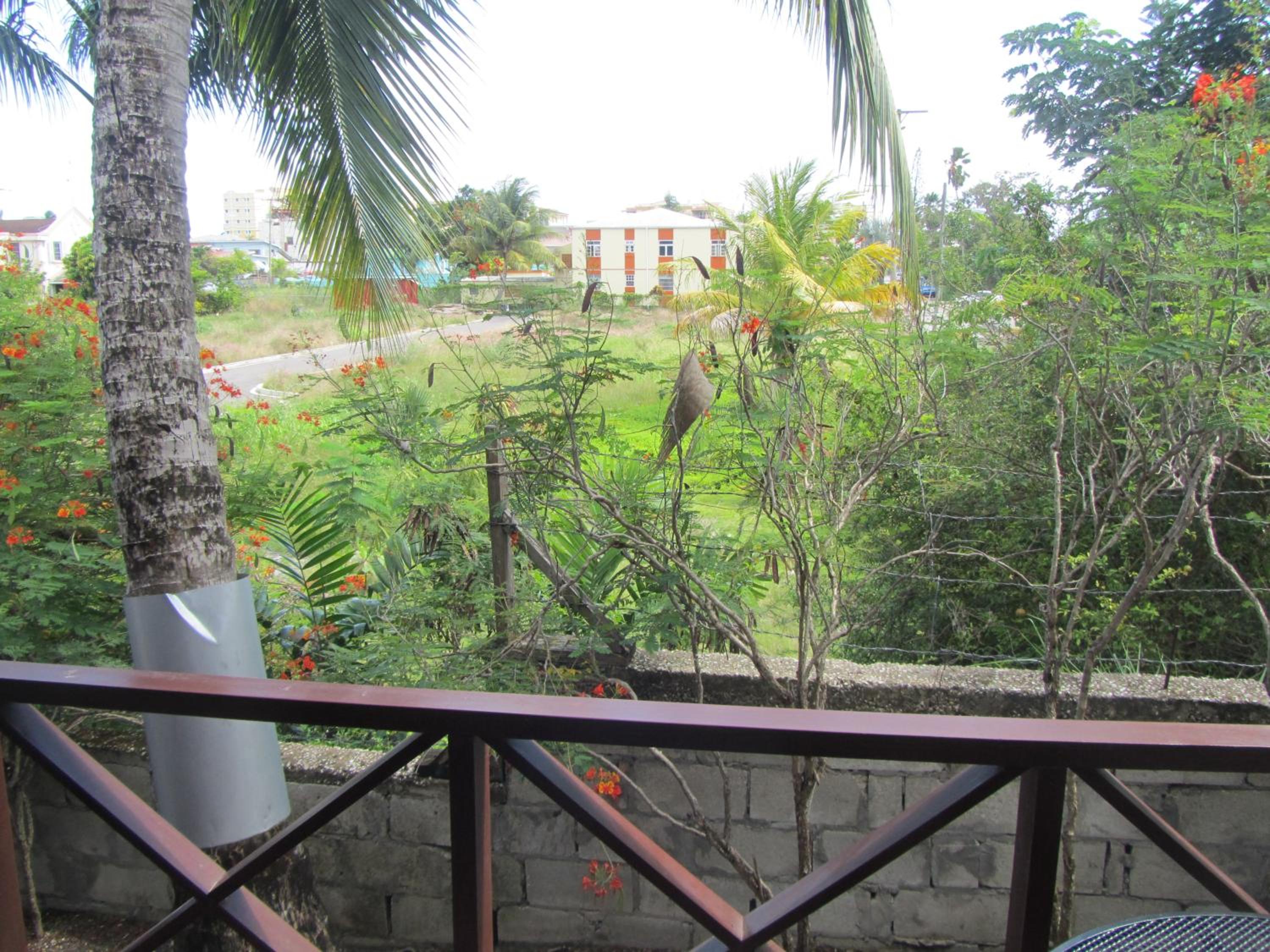 Dolphin Inn Guesthouse & Apartments