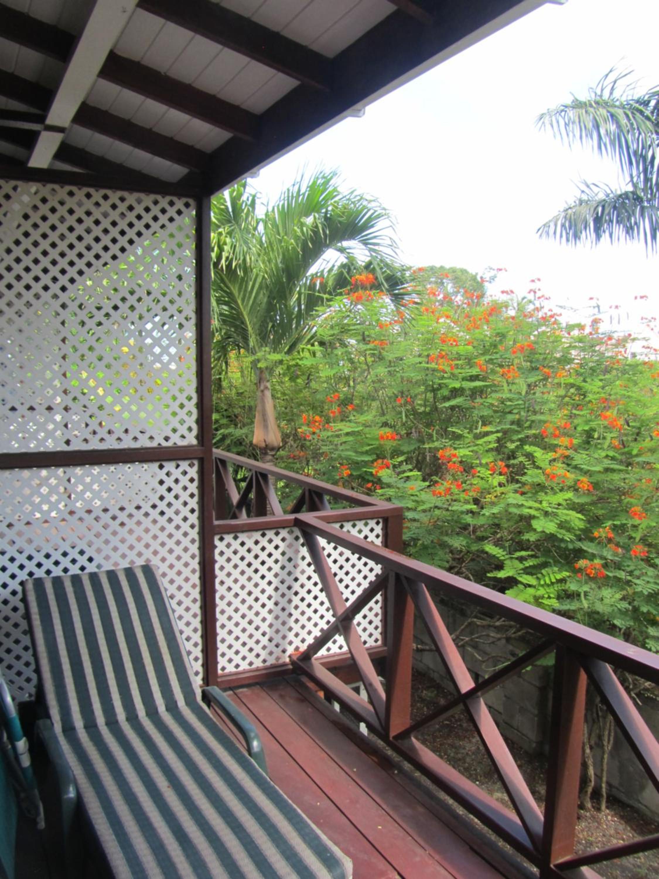 Dolphin Inn Guesthouse & Apartments