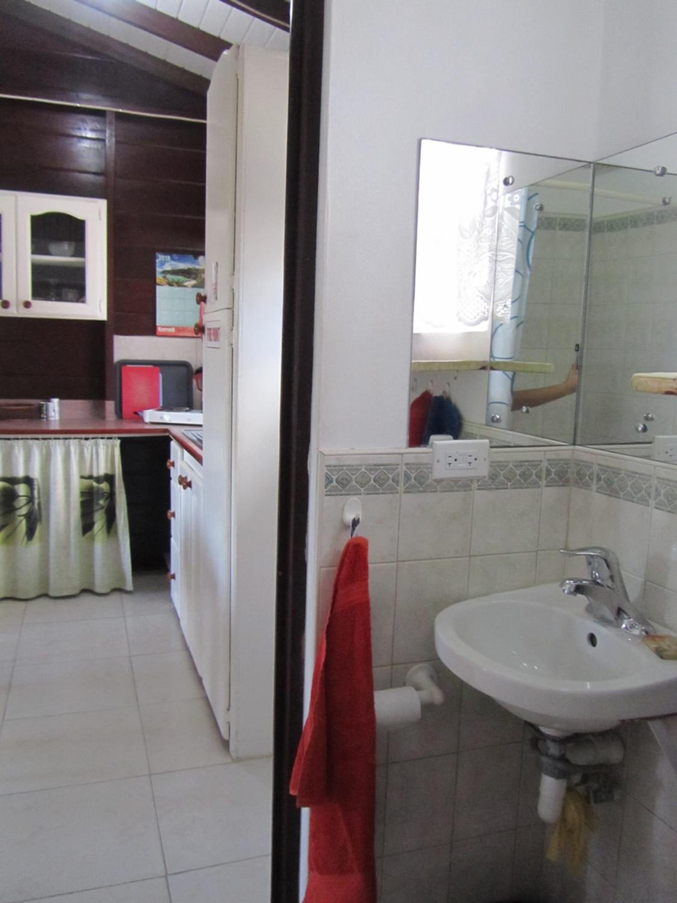 Dolphin Inn Guesthouse & Apartments