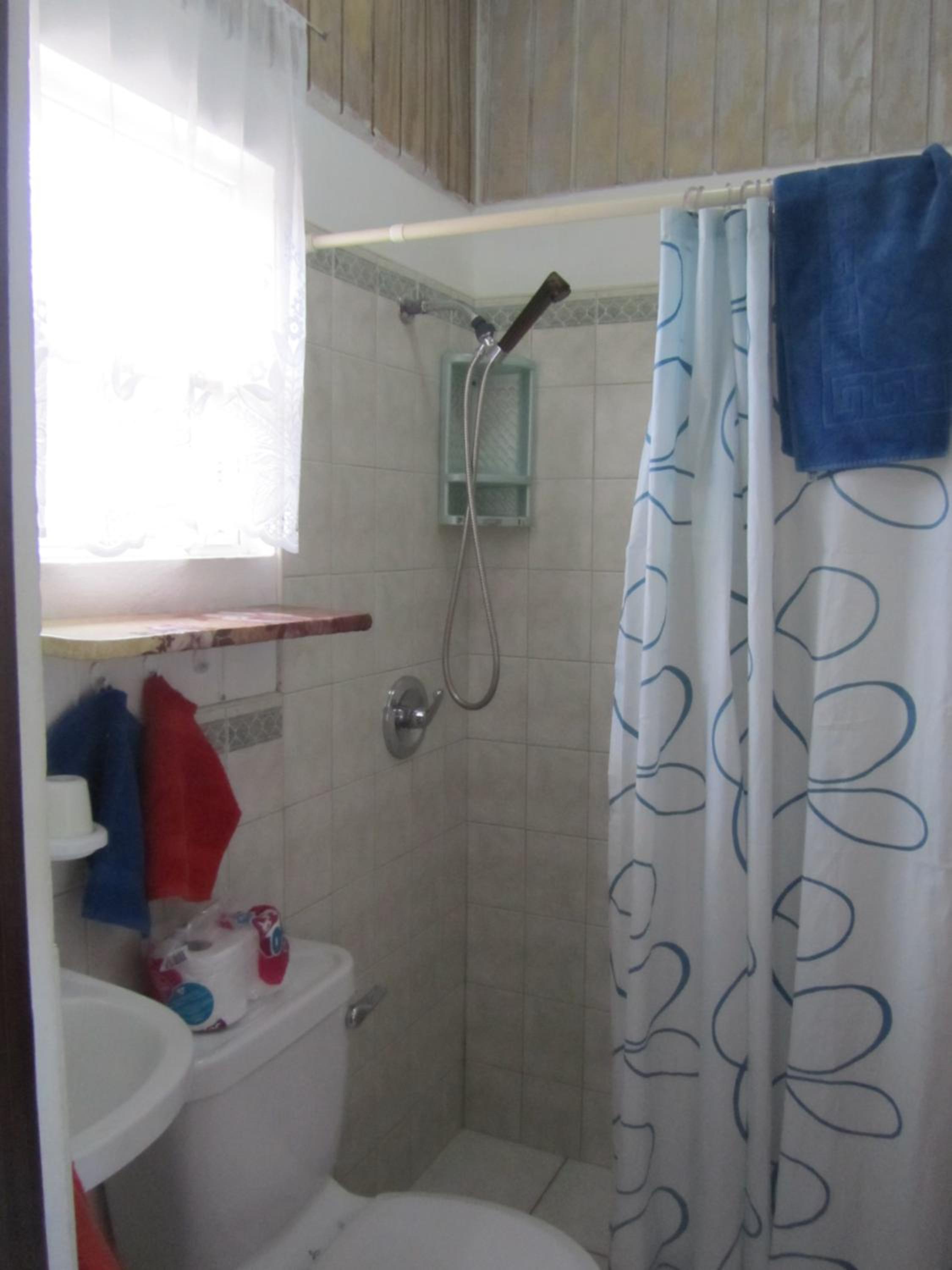 Dolphin Inn Guesthouse & Apartments