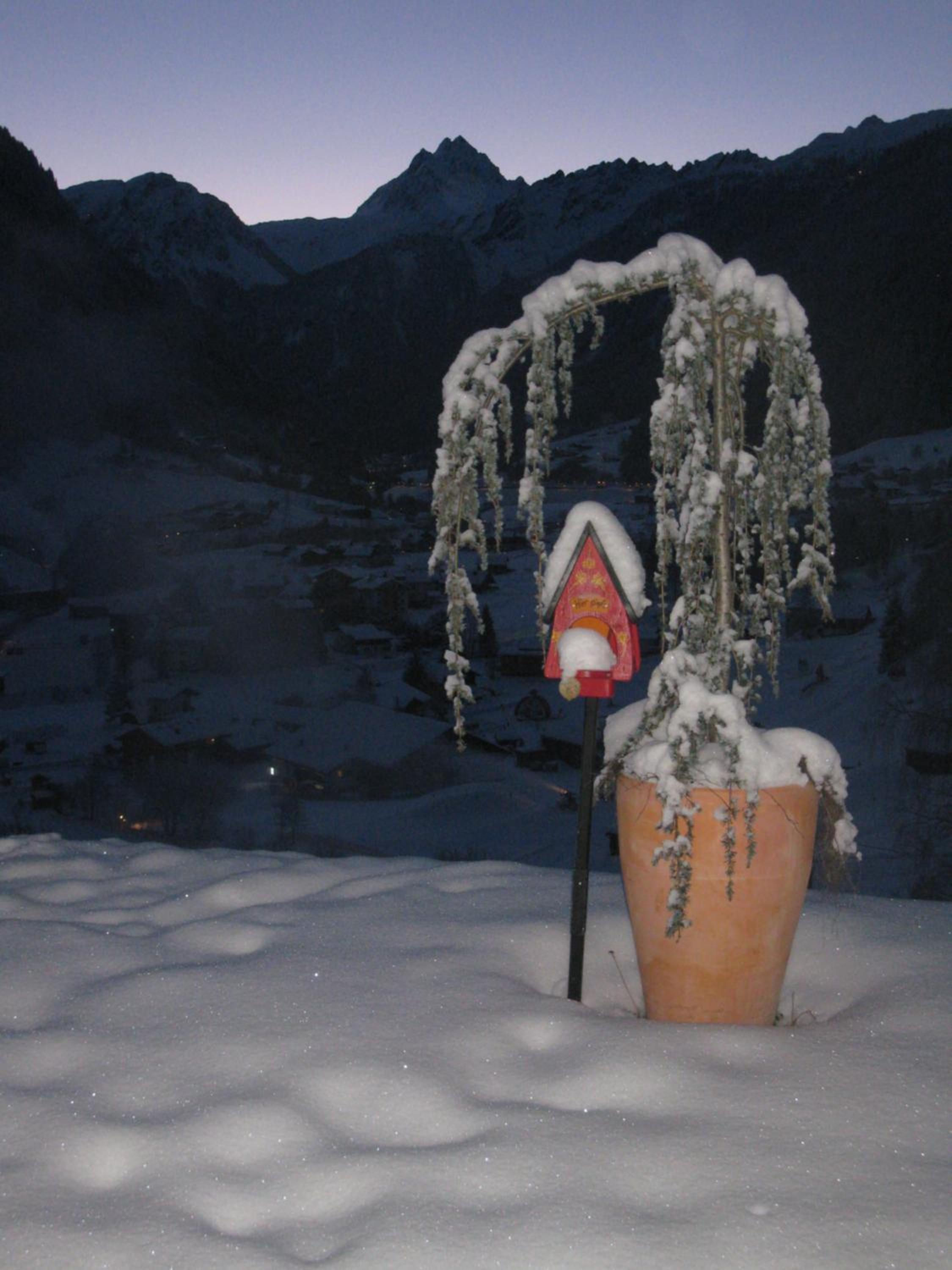 Photo 43