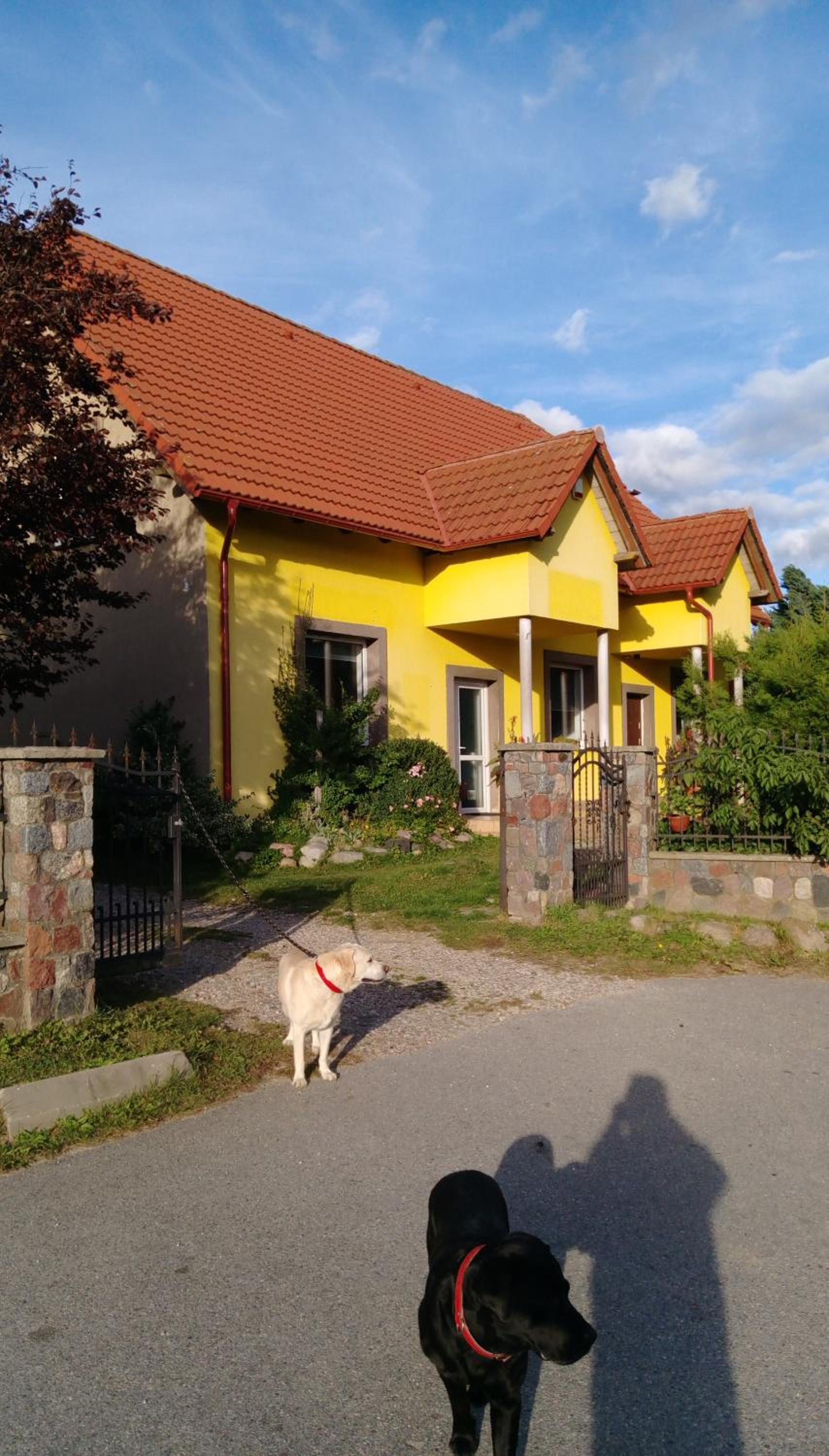 Photo 57