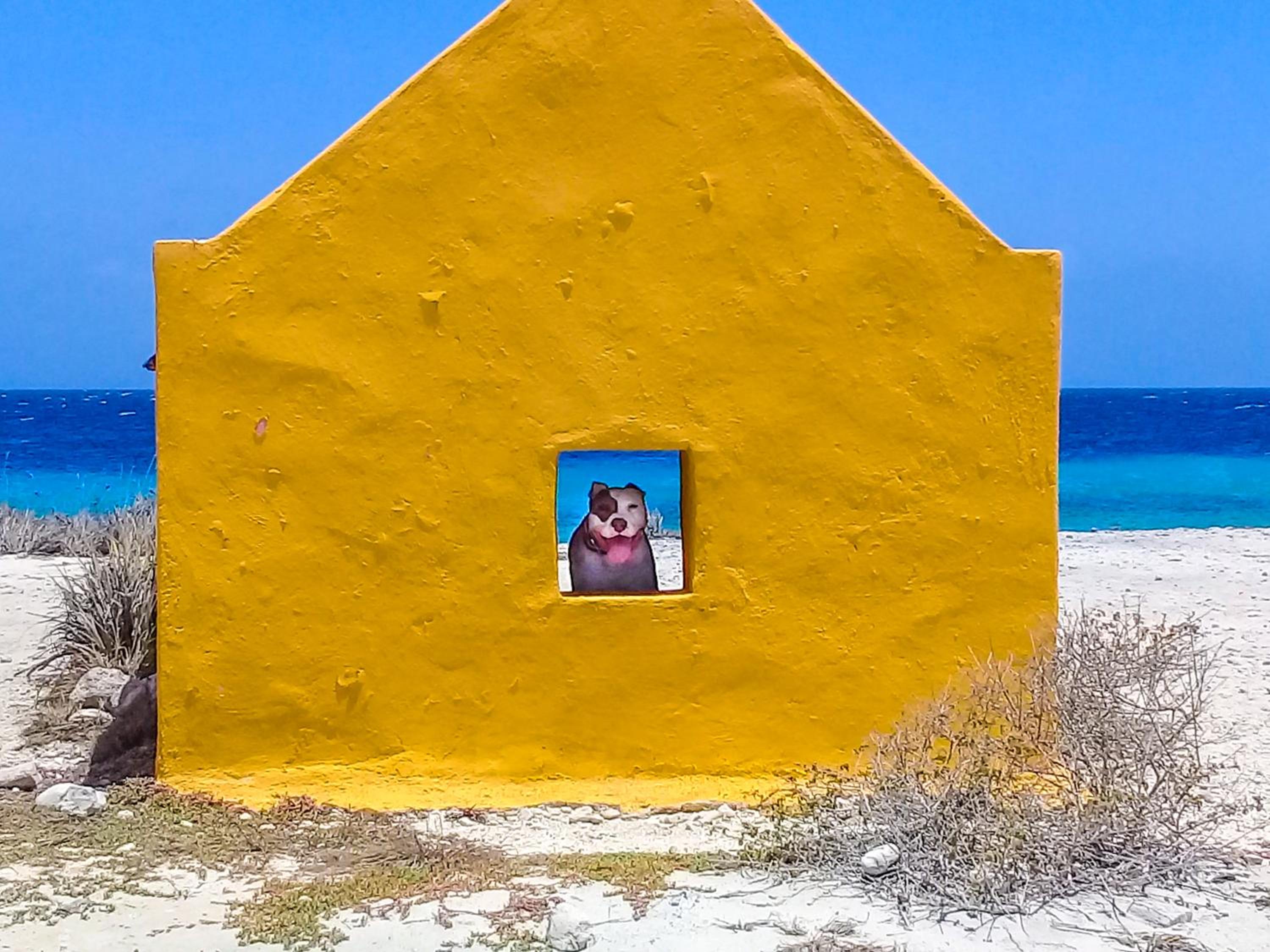 Hakuna Matata Bonaire - Beach & Diving