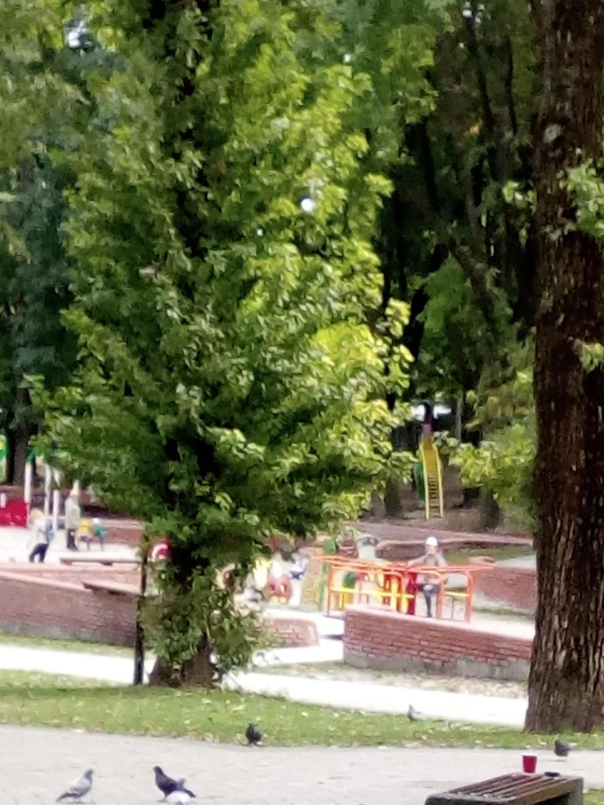 Photo 17