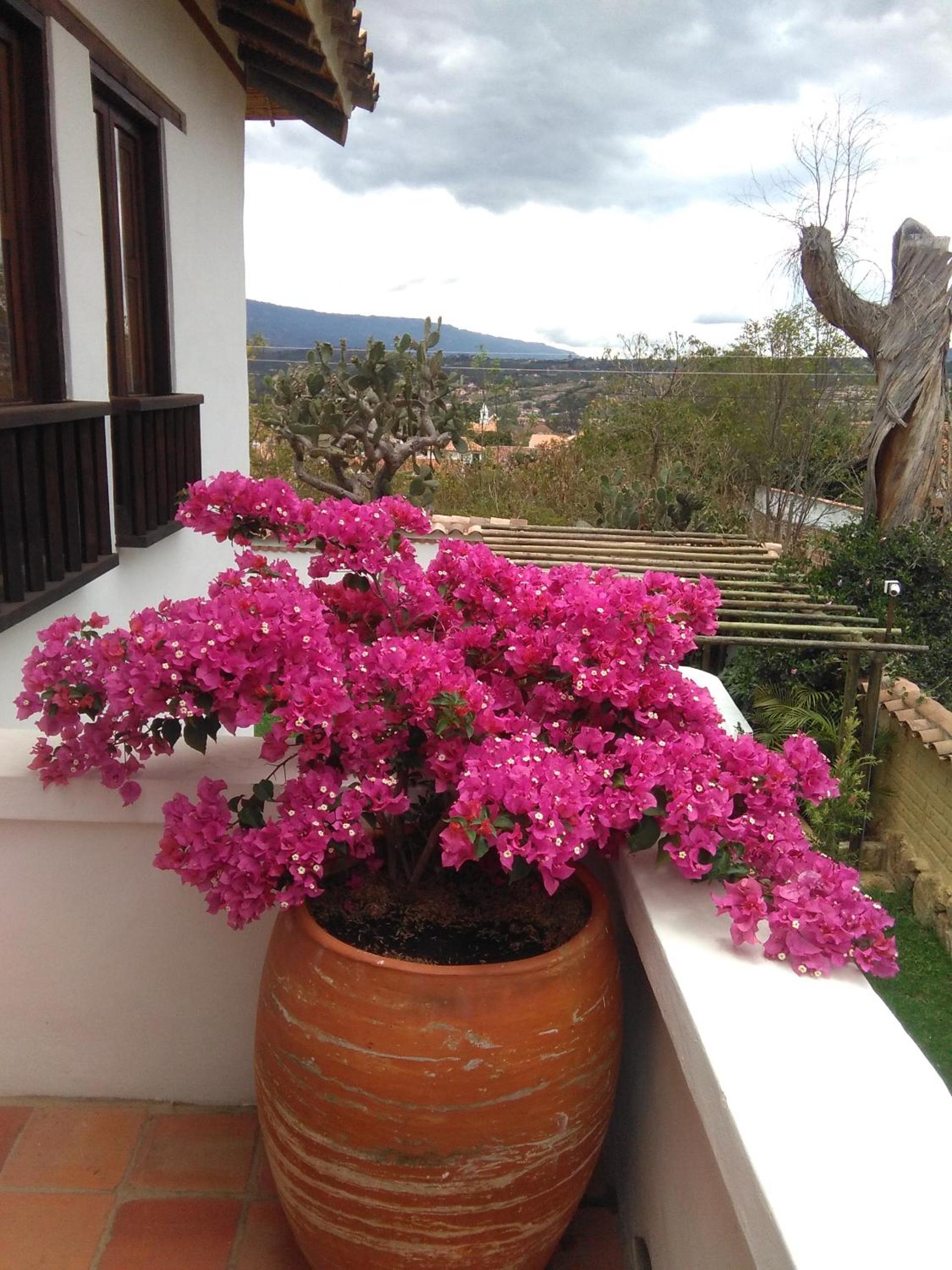 Casa Tzabar