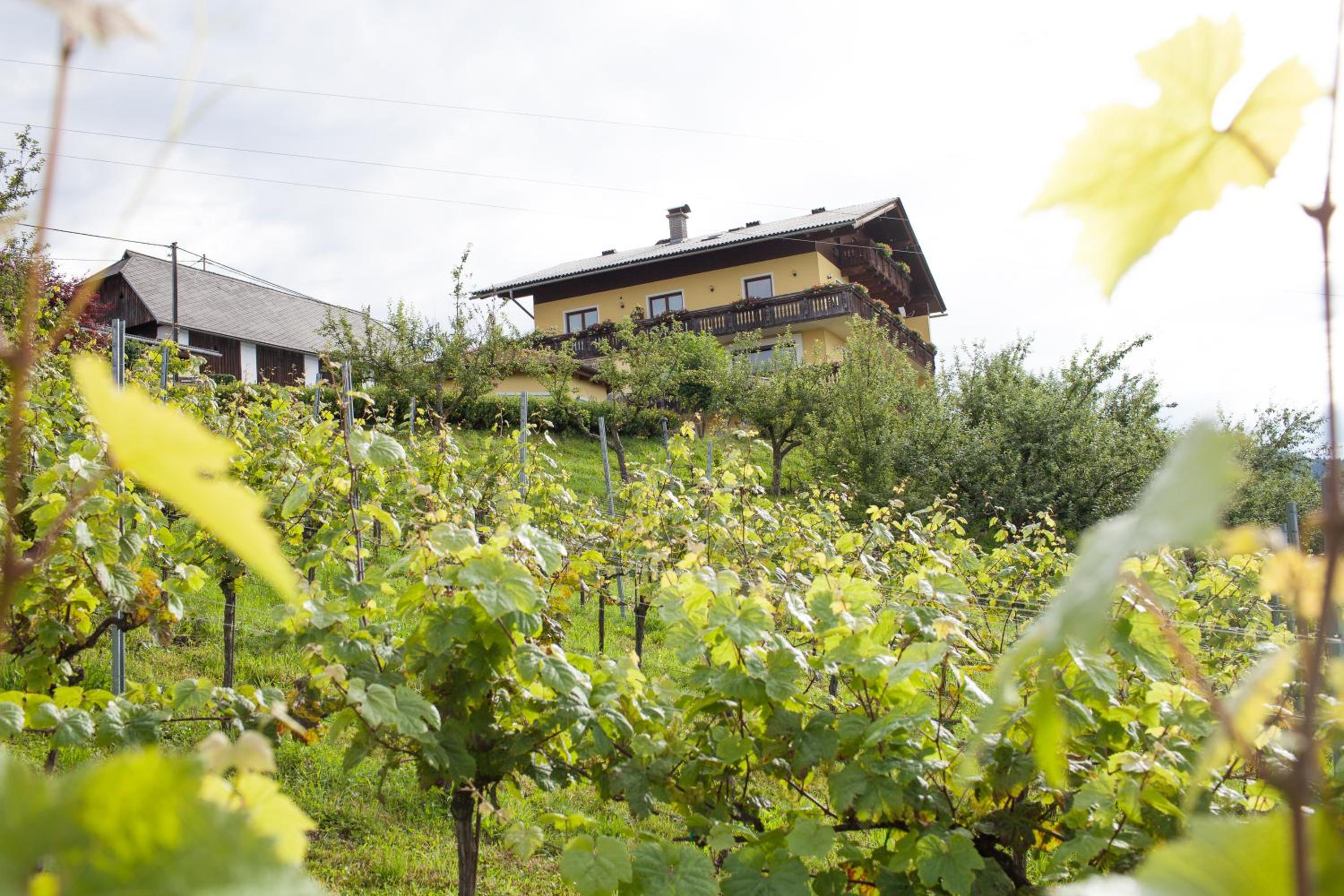 Pleschinhof