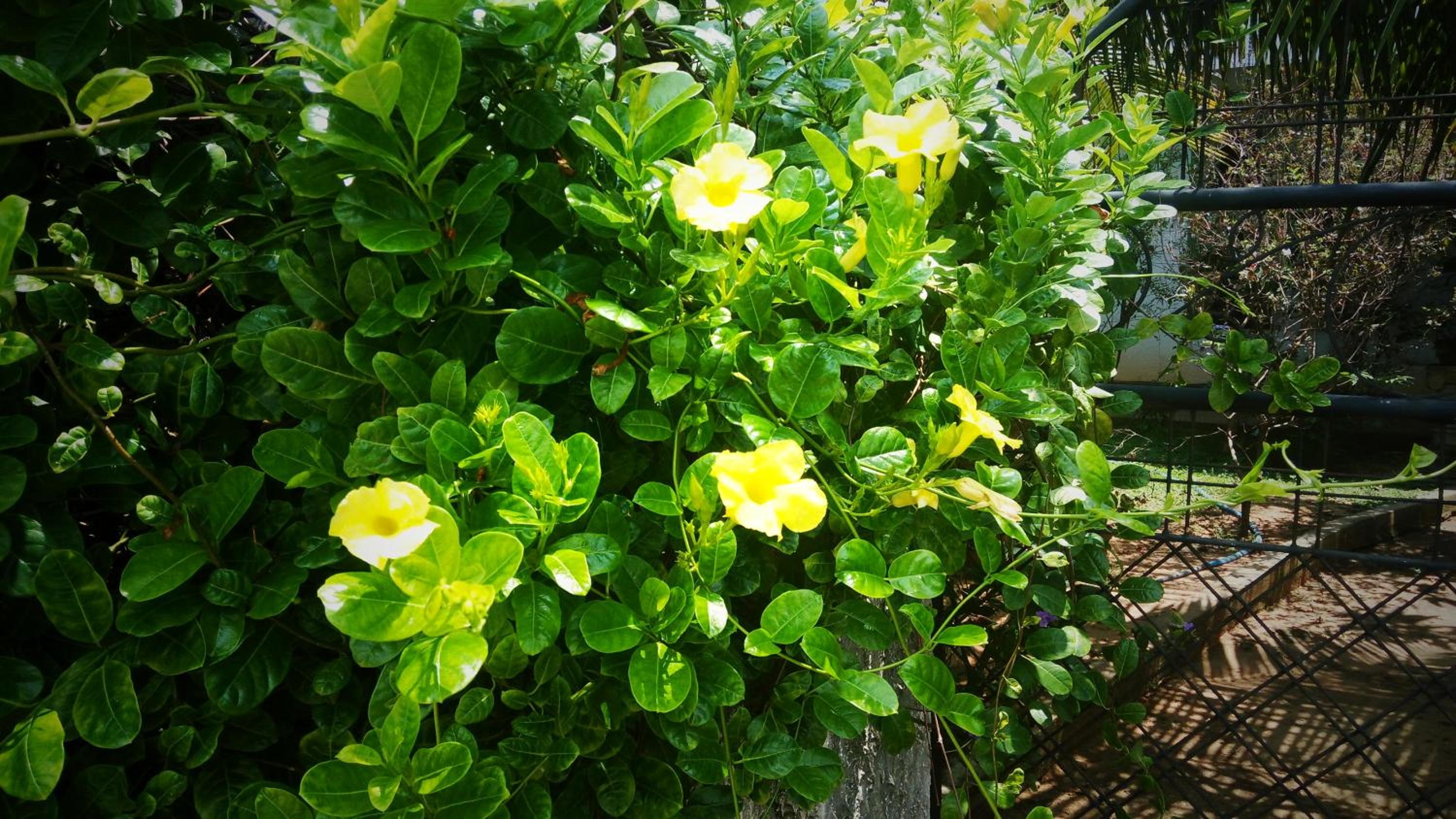 Photo 43
