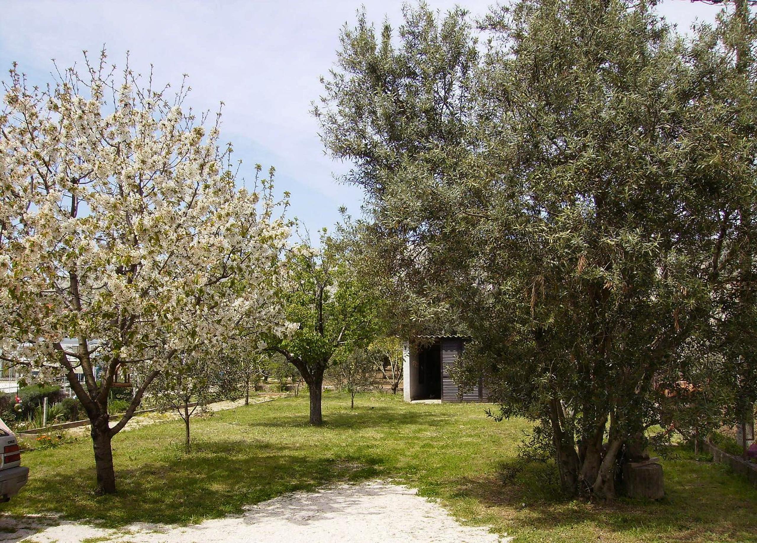 Photo 26