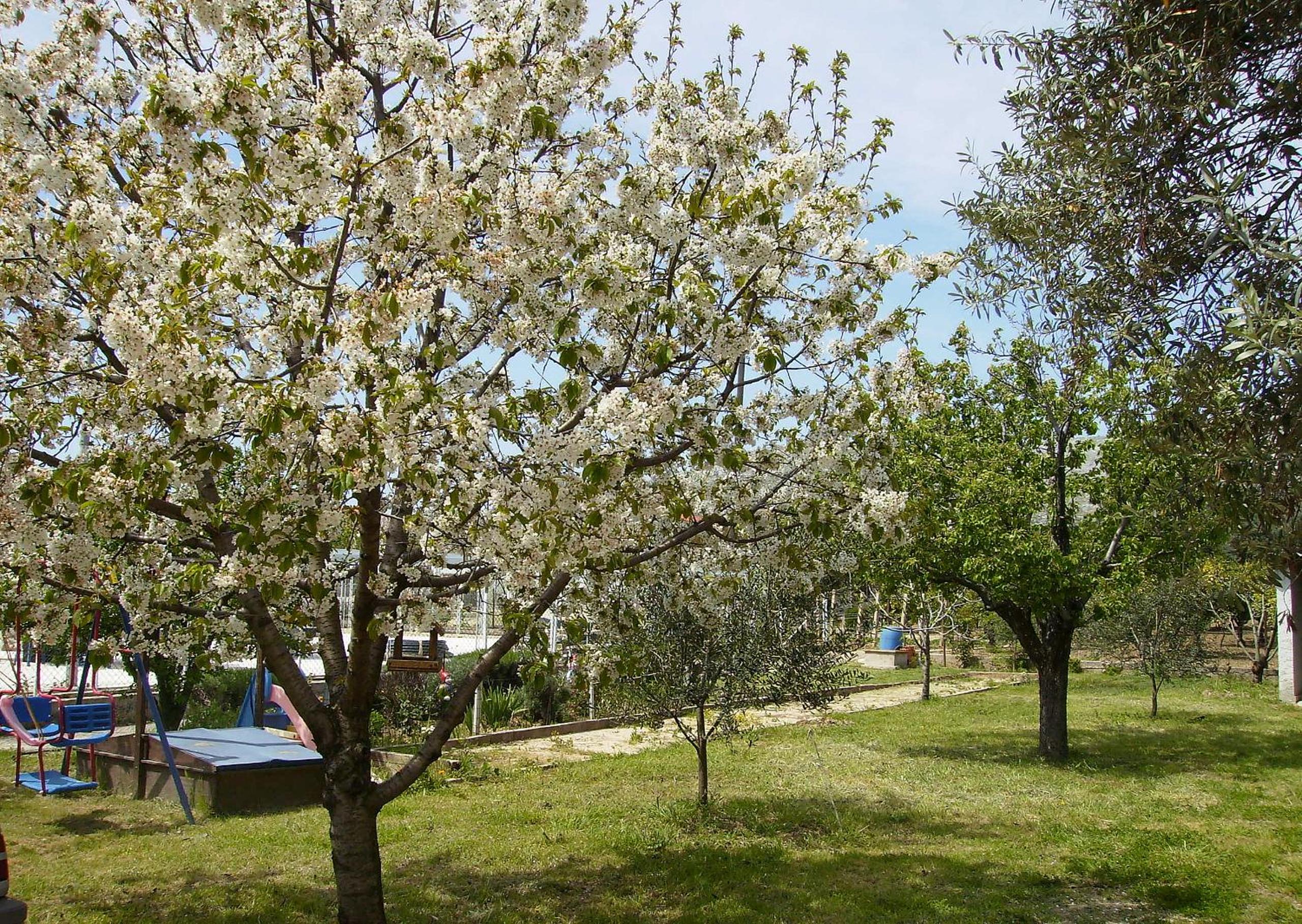 Photo 27
