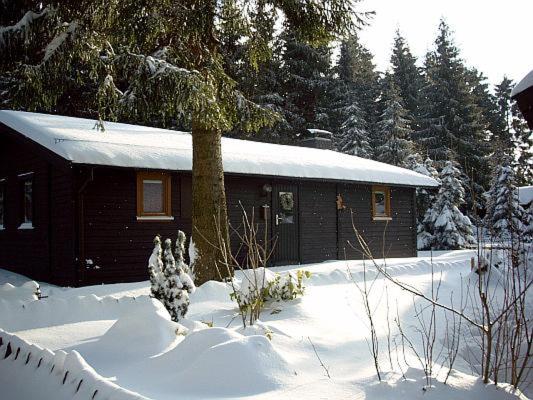 Hüttenflair am See mit Kamin