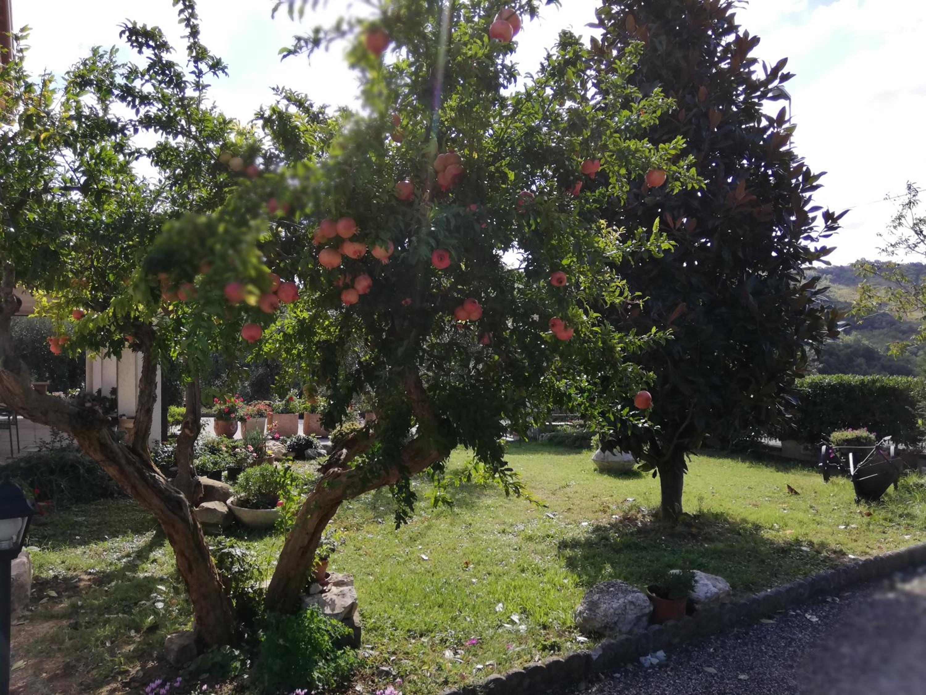 B&B RIPALTA