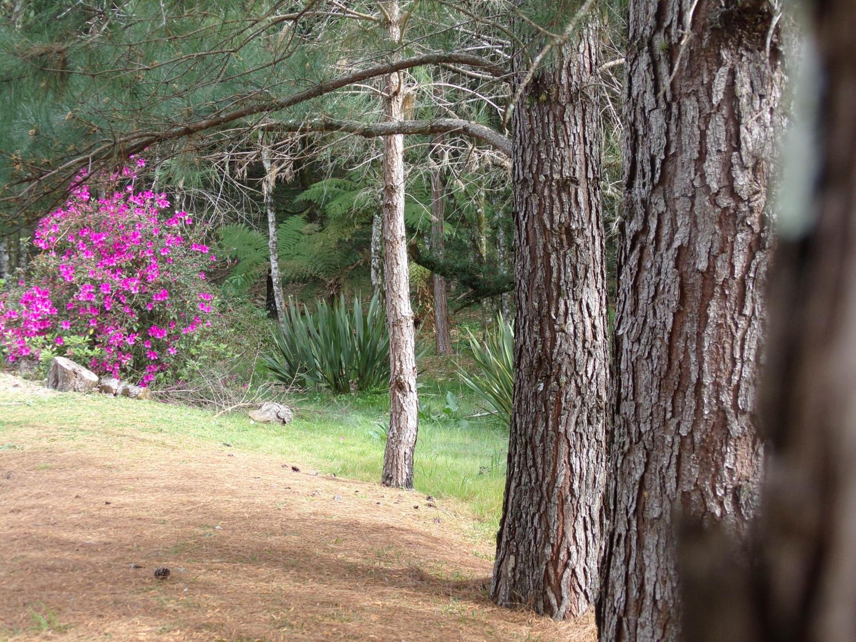 Recanto na Montanha de Gramado